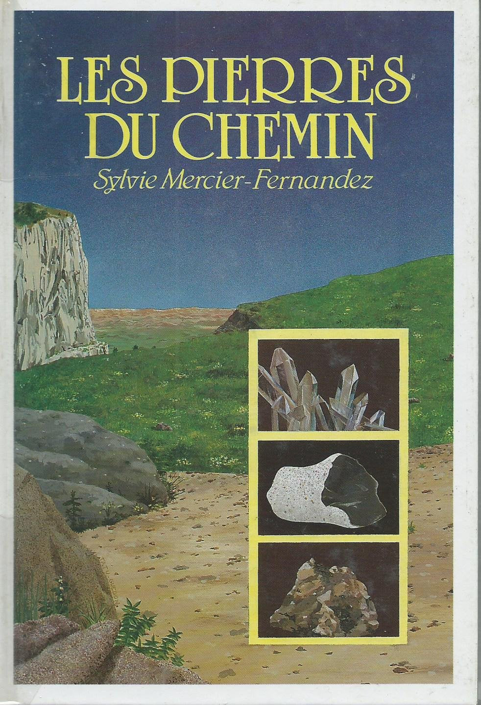Les pierres du chemin 9782700210248