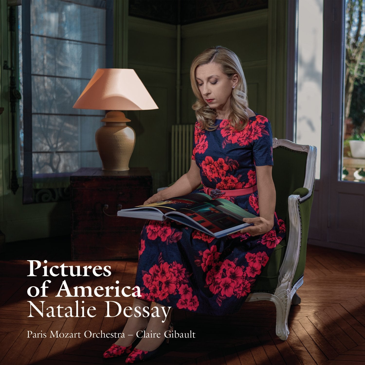 Pictures of America-Digi- 0889853862825