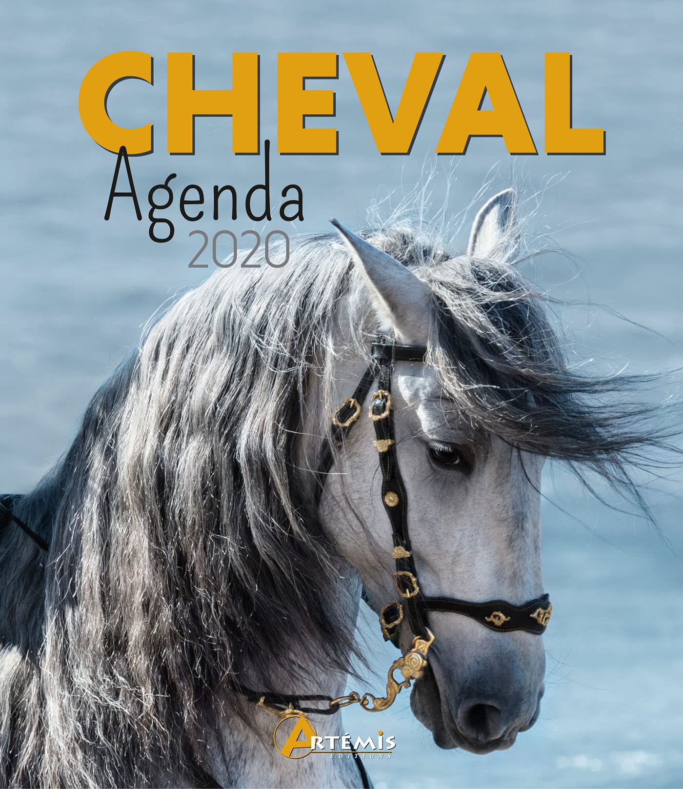 Agenda 2020 Cheval 9782816015638