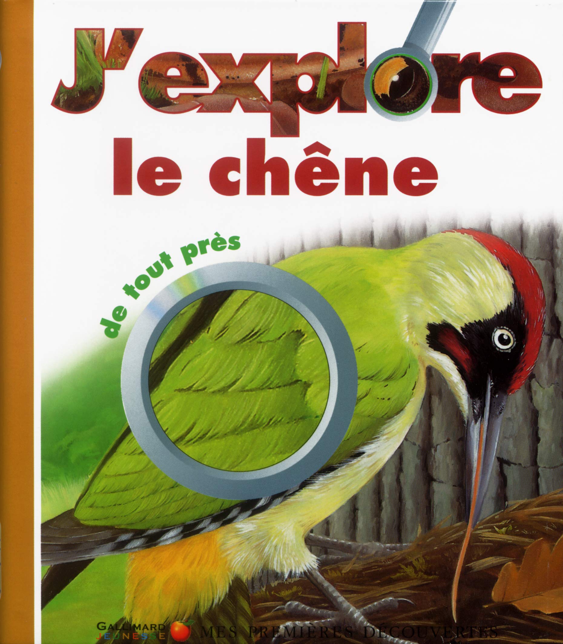 J'explore le chêne de tout près 9782070552801