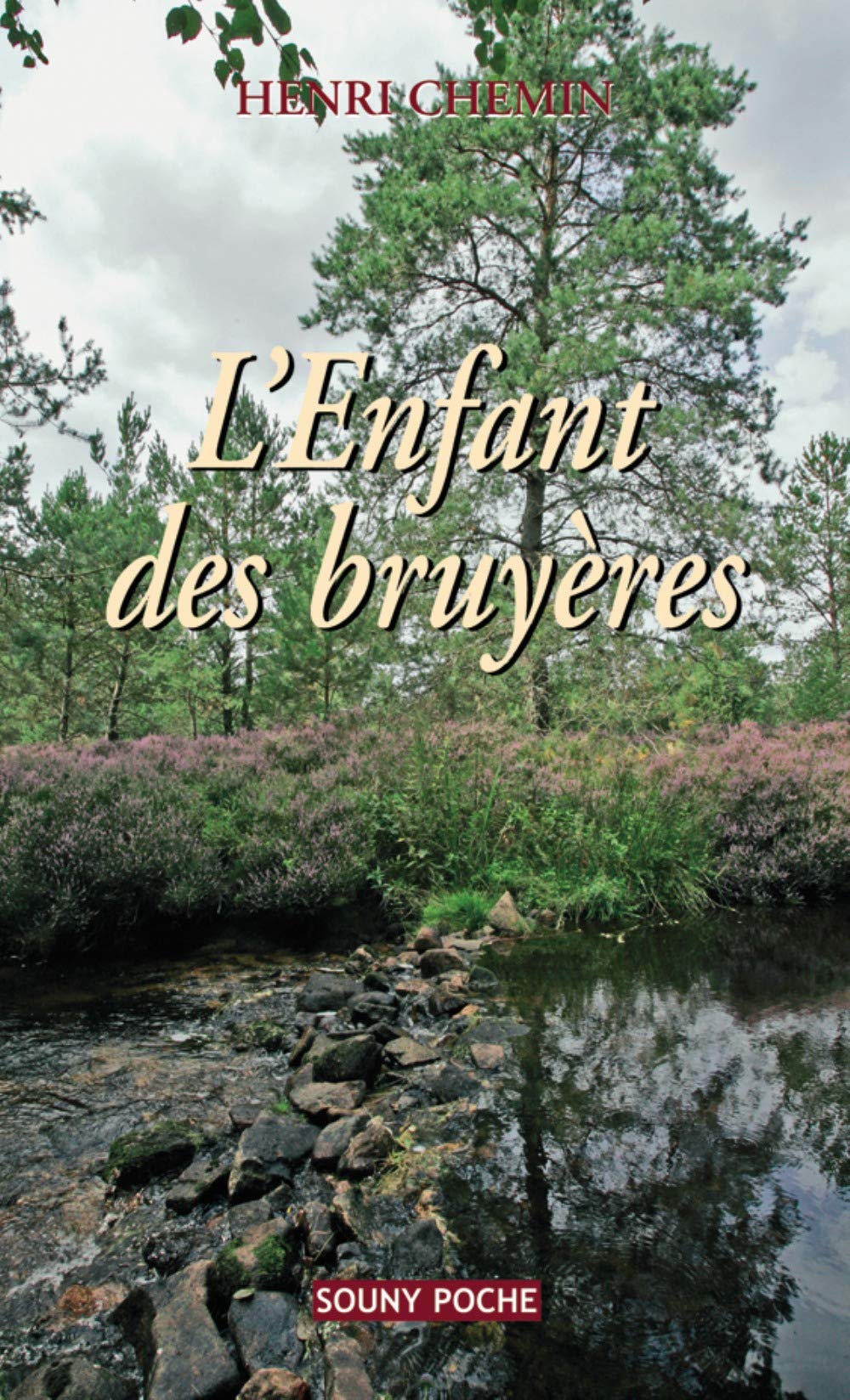 L'Enfant des bruyères 9782848861944