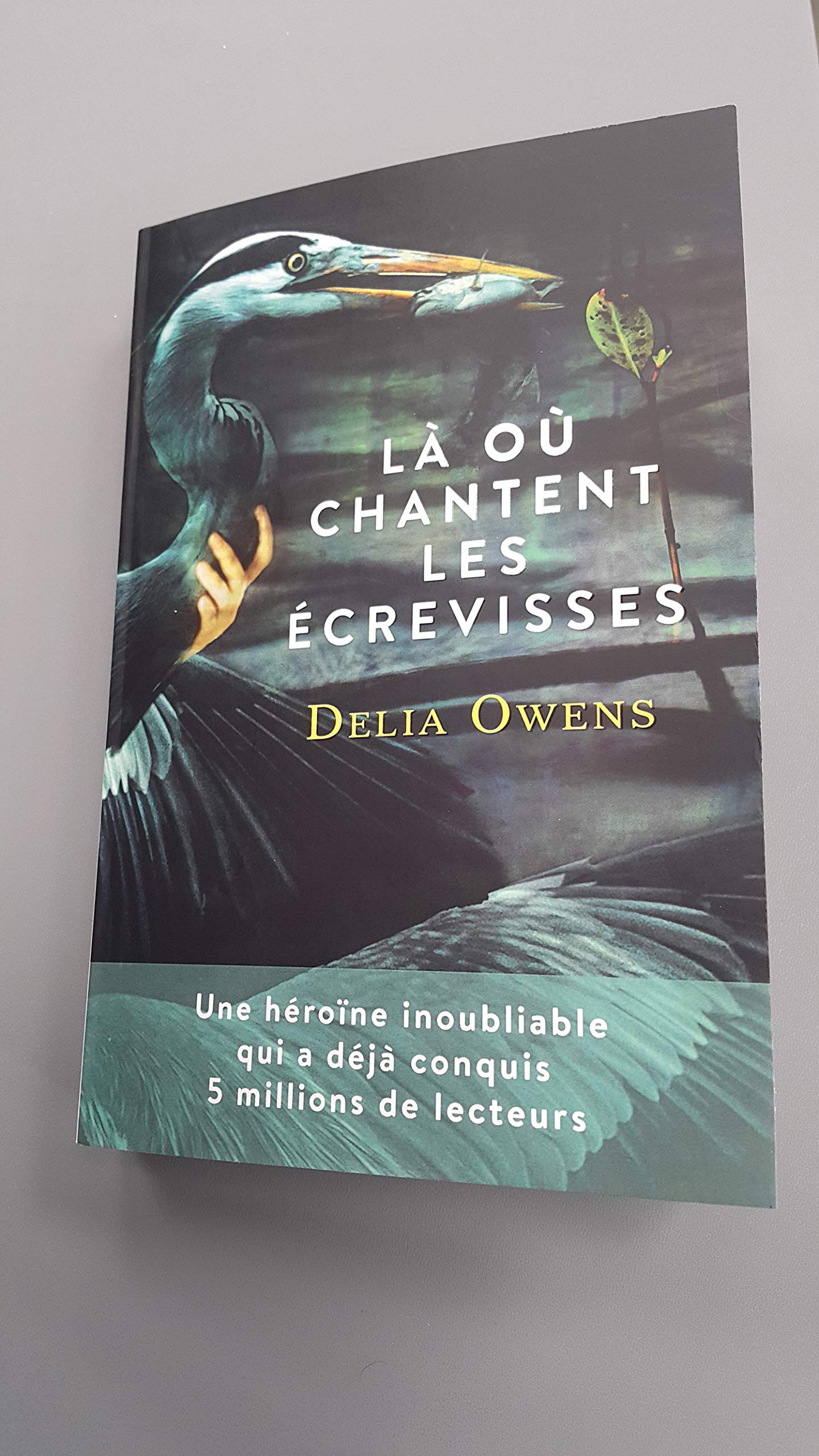 Là où chantent les ecrevisses 9782298166569