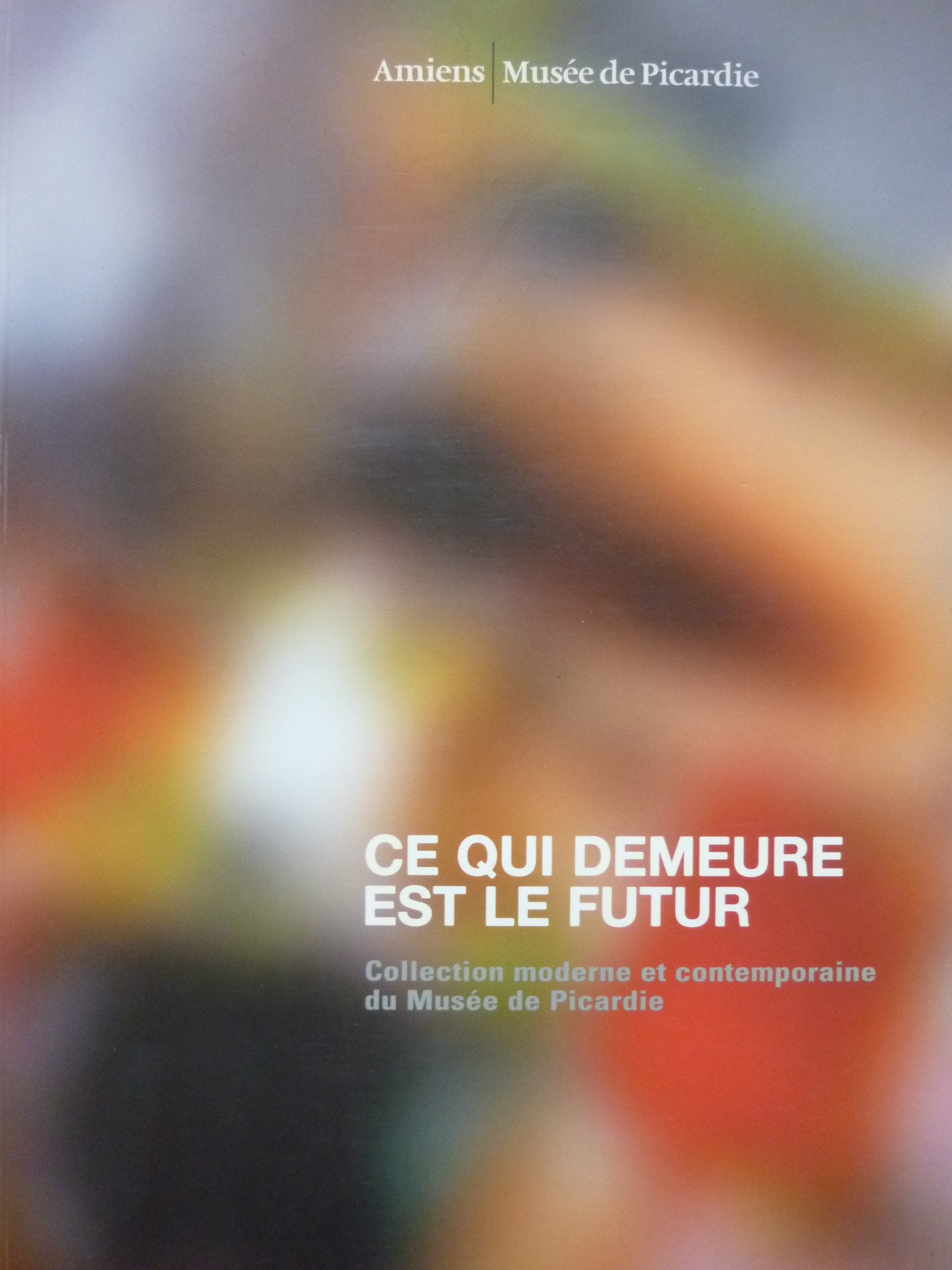 Ce qui demeure est le futur. Collection moderne et contemporaine du Musée de Picardie - Amiens 9782916914114