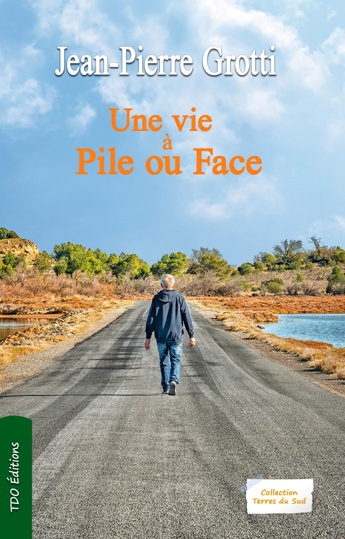 Une vie à pile ou face 9782366524901