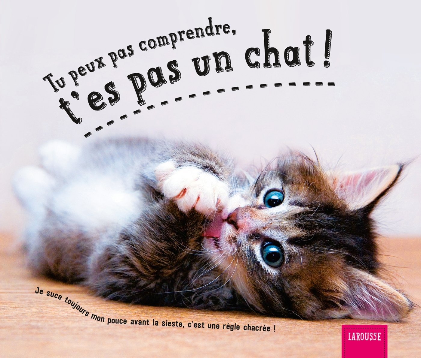 Tu peux pas comprendre, t'es pas un chat: Tome 3 9782035941206