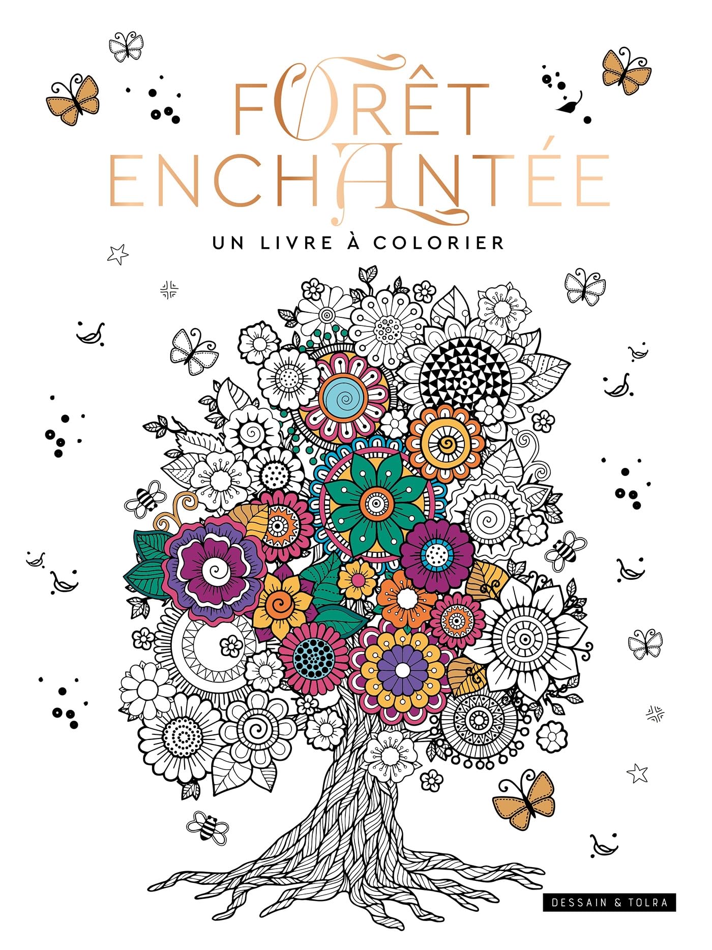 Forêt enchantée, un livre à colorier 9782295015587