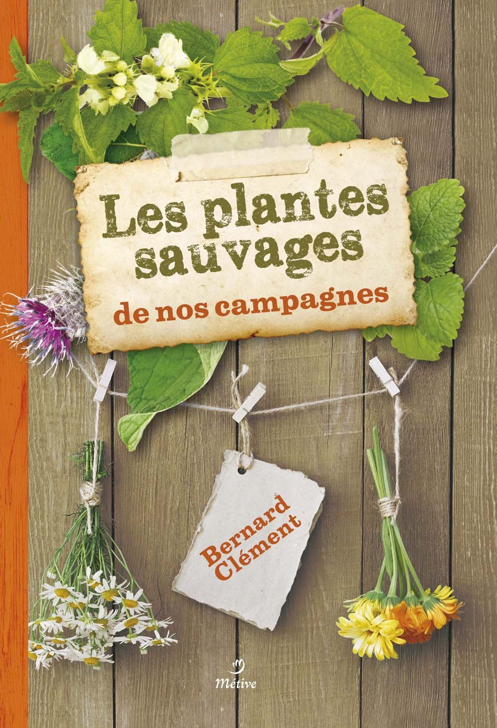 Les plantes sauvages de nos campagnes 9782371090118