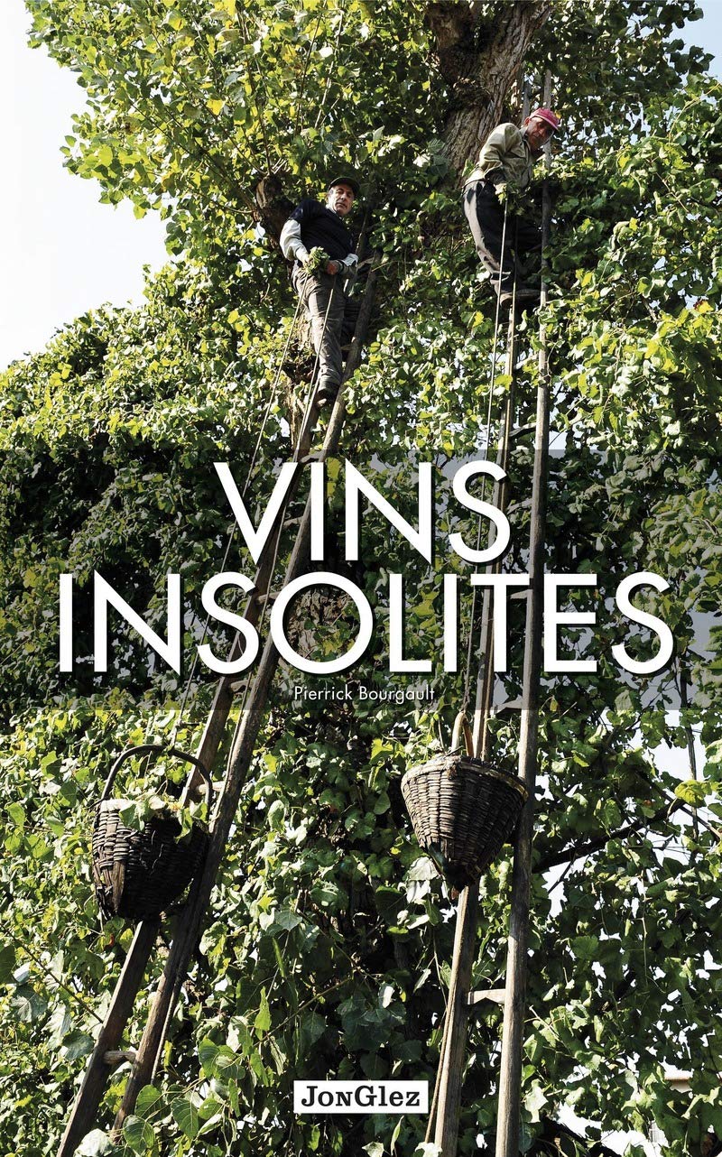 Vins insolites 9782361950958