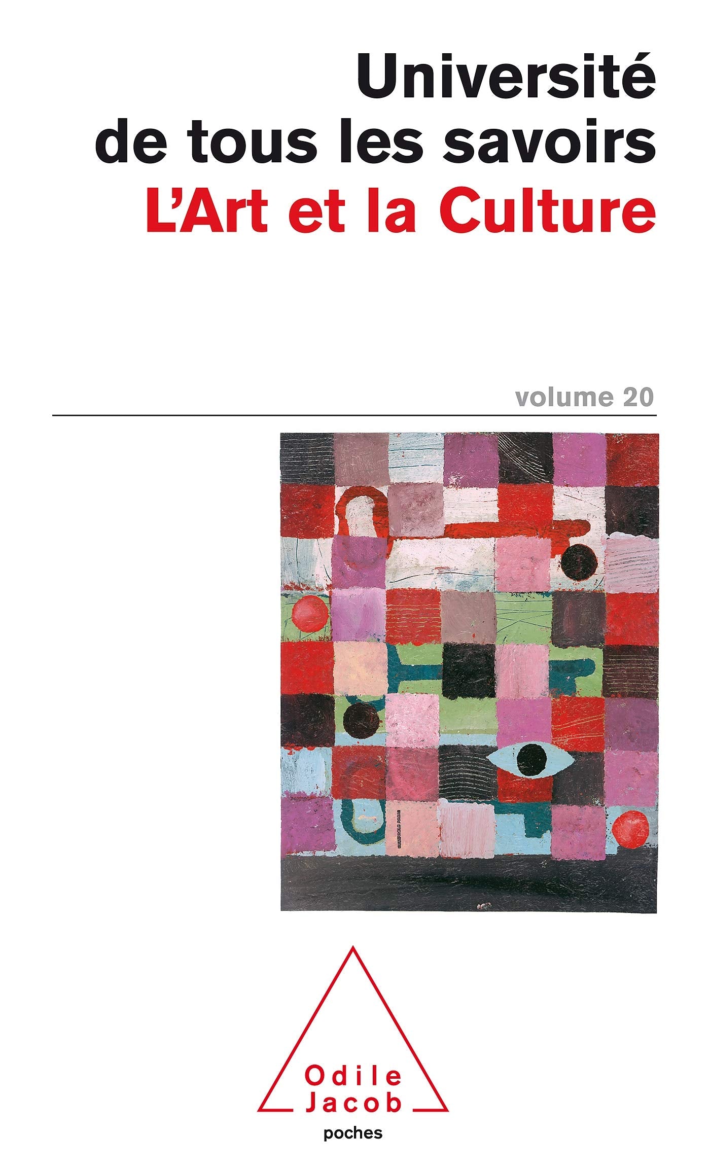 Université de tous les savoirs, volume 20 : L'Art et la Culture 9782738111791