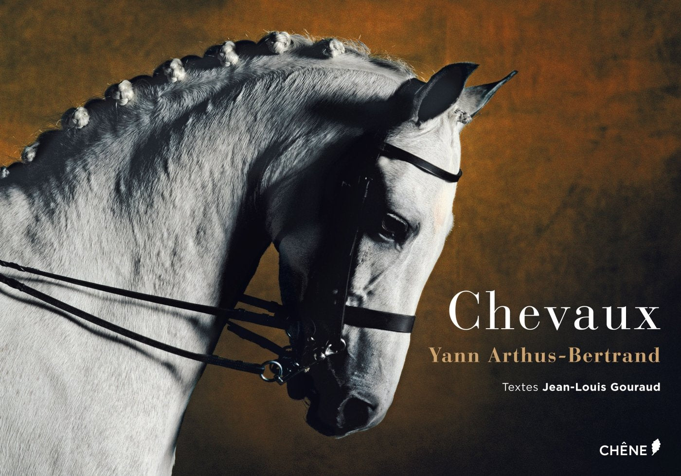 Chevaux 9782812309694