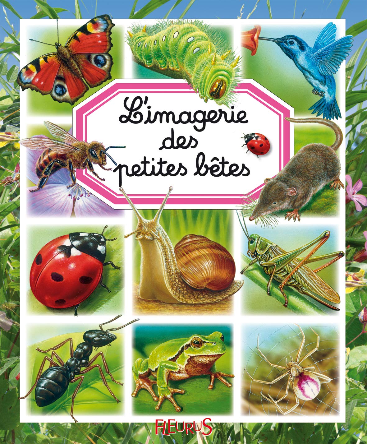 L'imagerie des petites bêtes 9782215097662