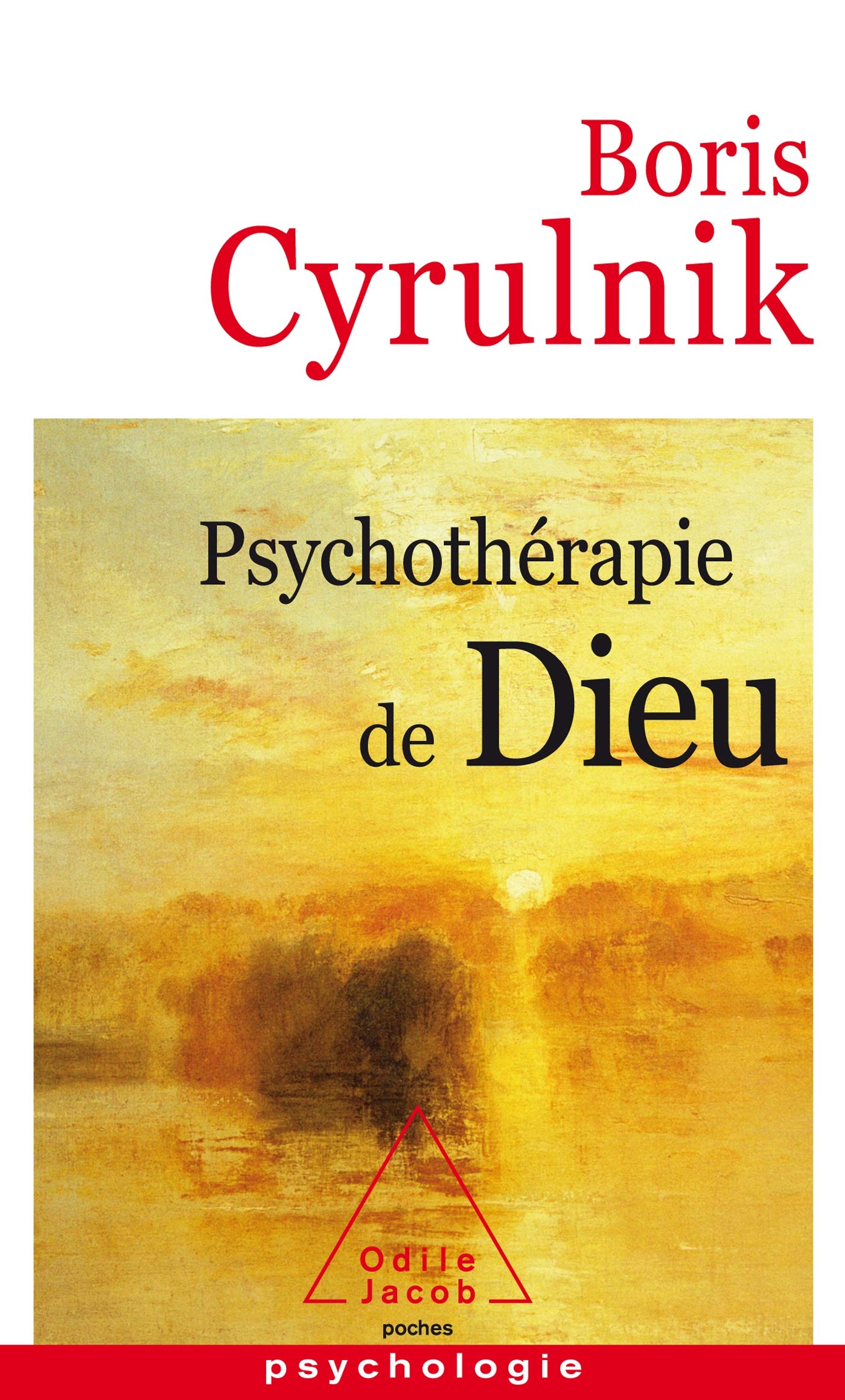 Psychothérapie de Dieu 9782738150400