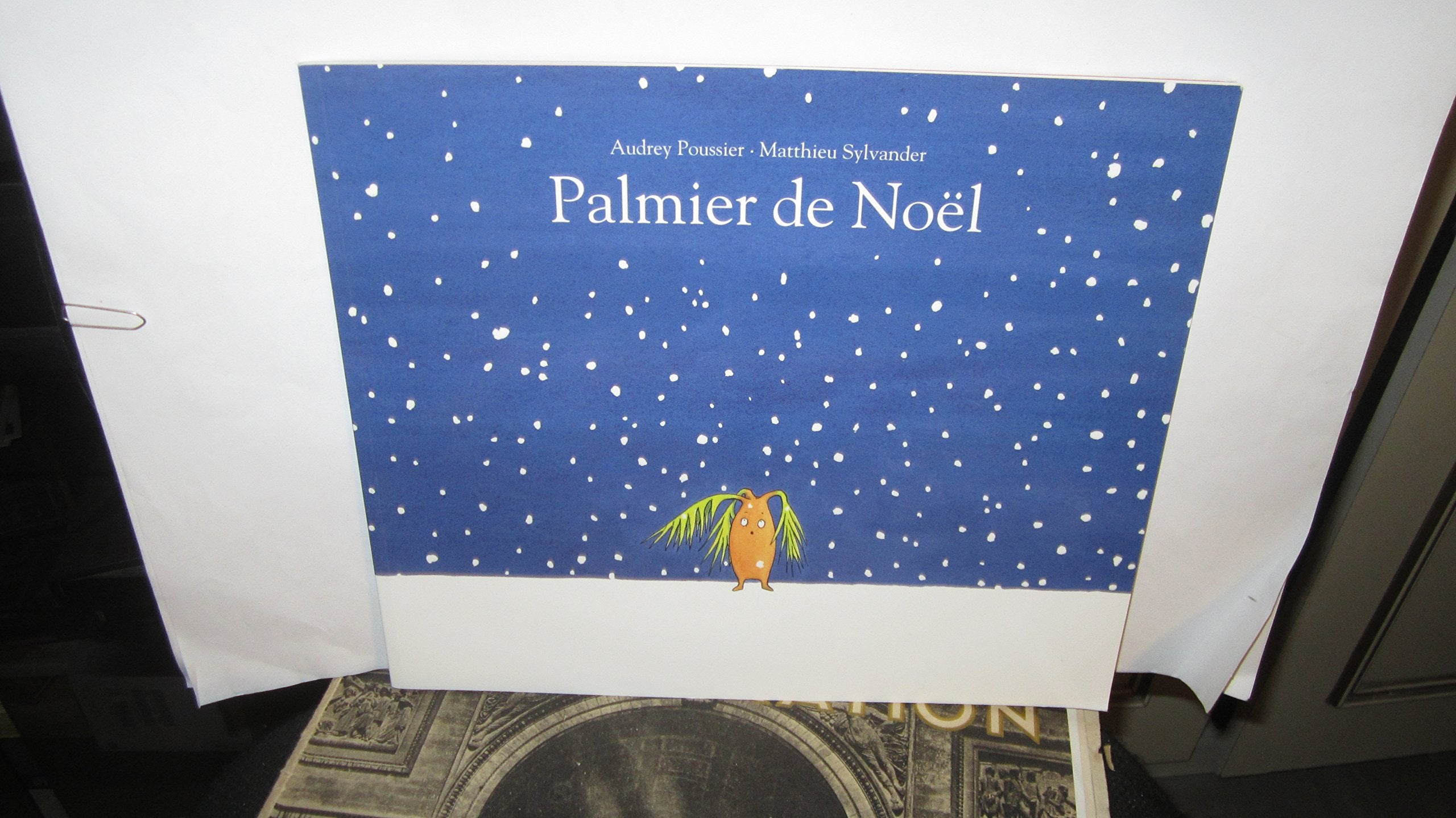 Palmier de Noël 9782211215008