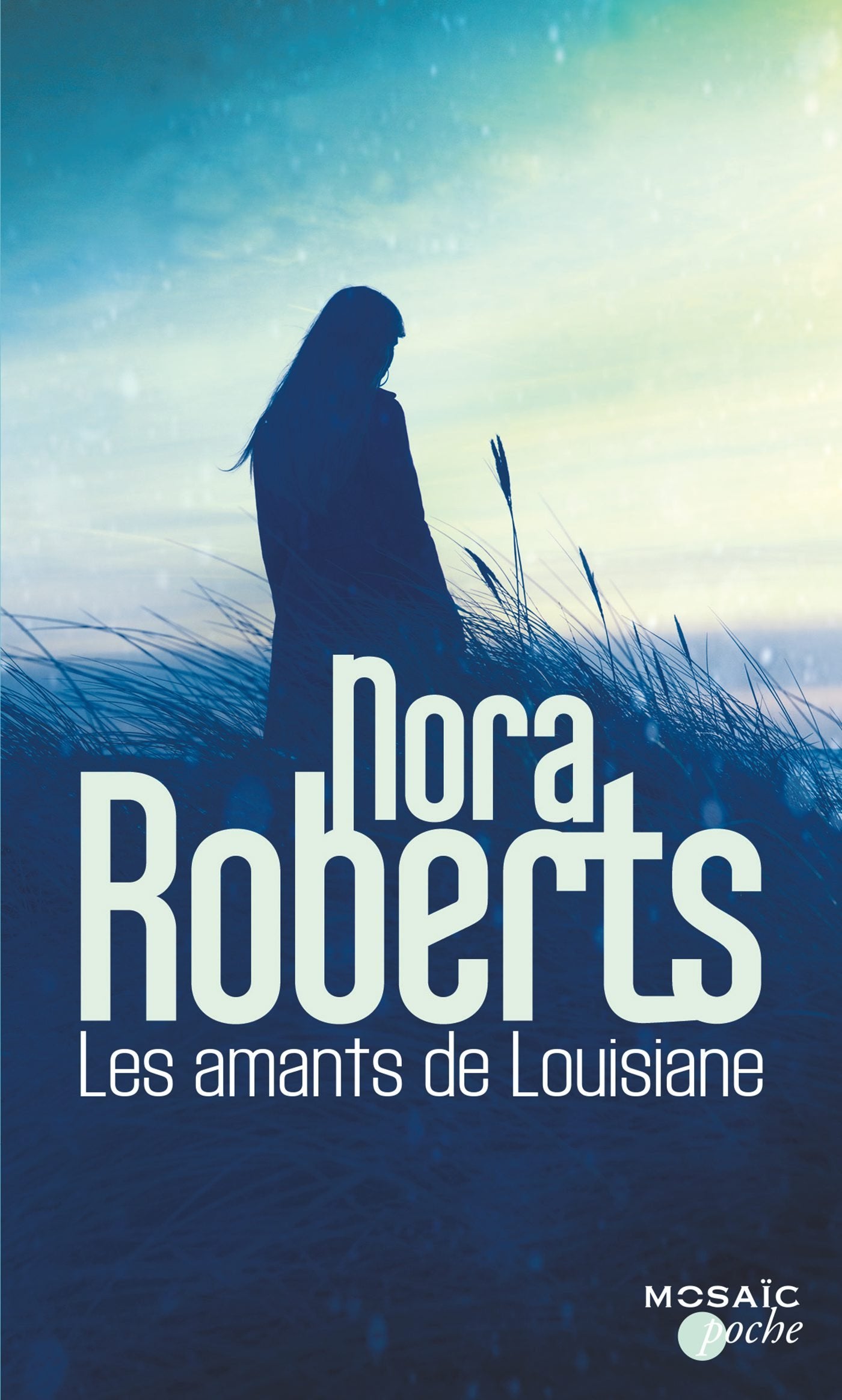 Les amants de Louisiane 9782280358507