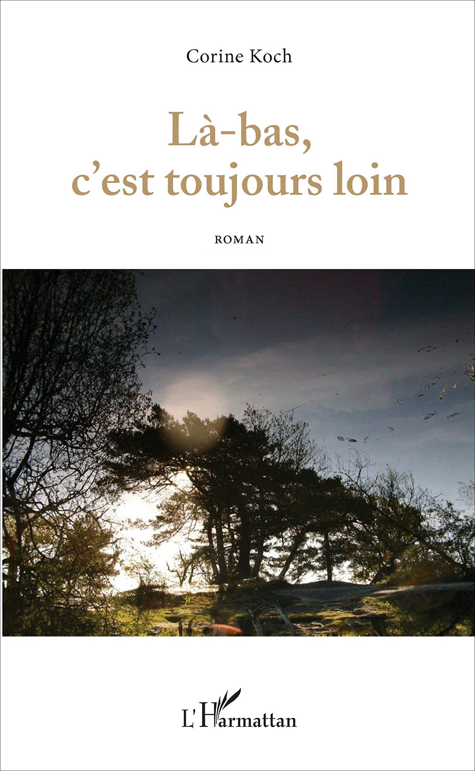 Là-bas, c'est toujours loin: Roman 9782343106915