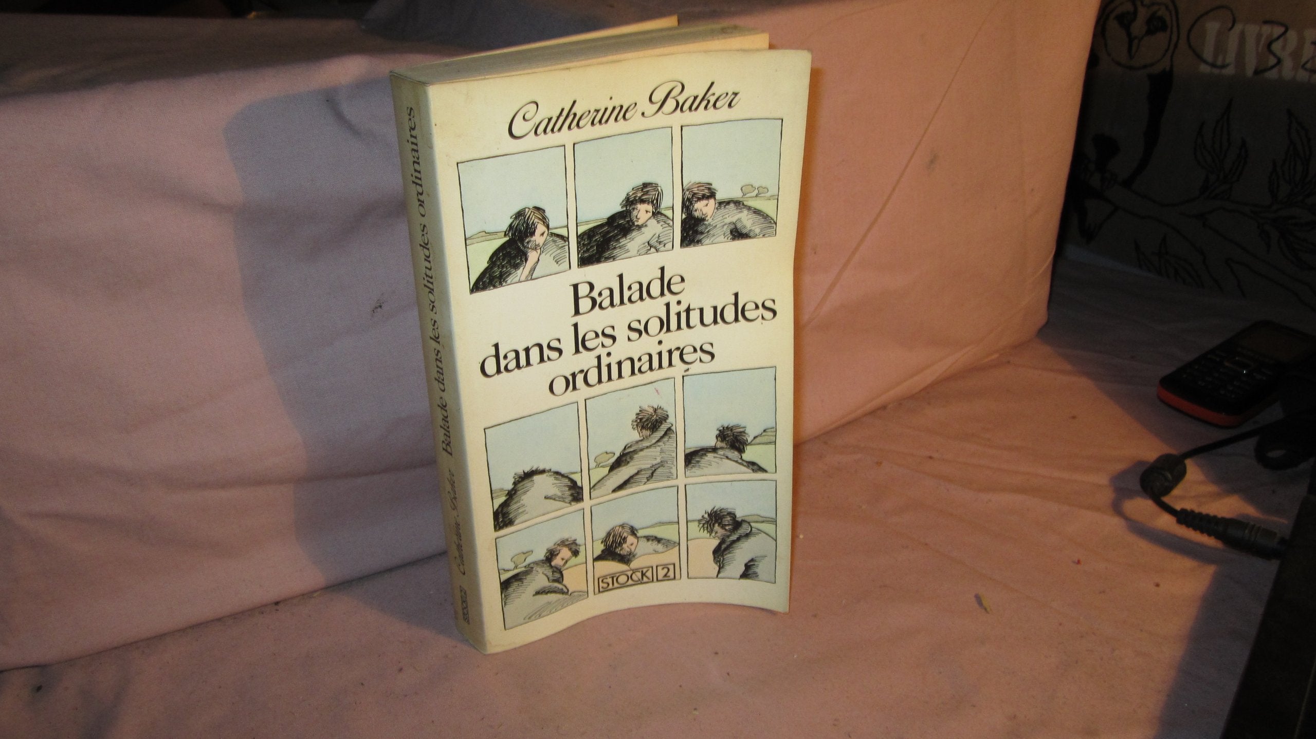 Balade dans les solitudes ordinaires 9782234015432