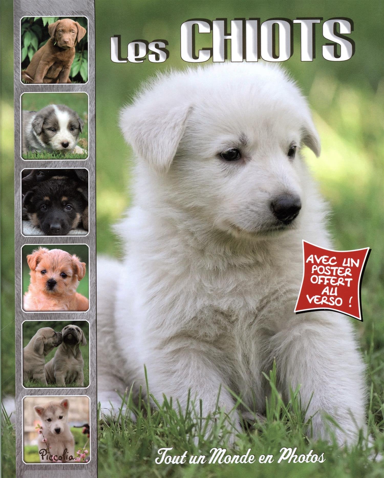 Les chiots 9782753032699