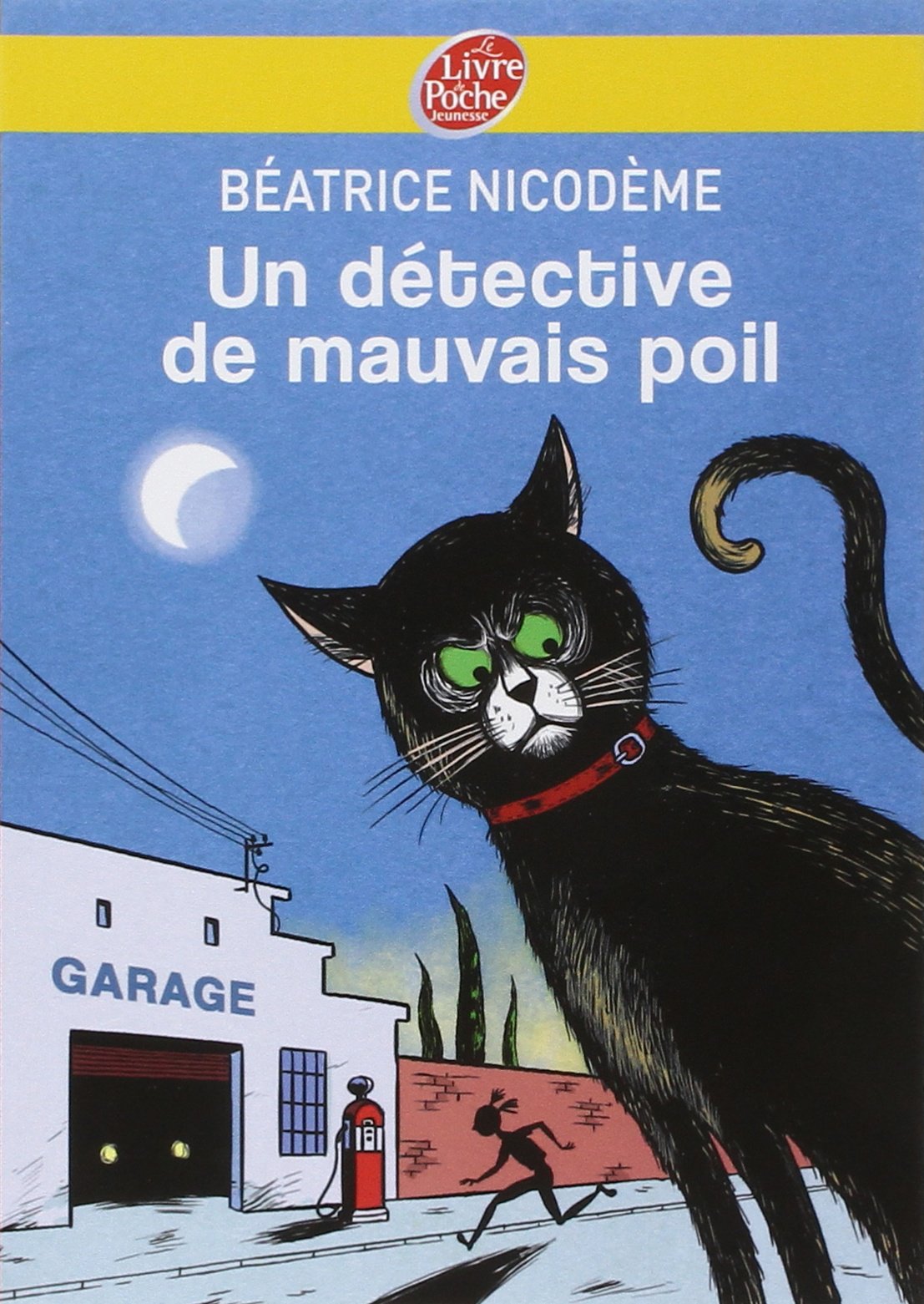Un détective de mauvais poil 9782013230025