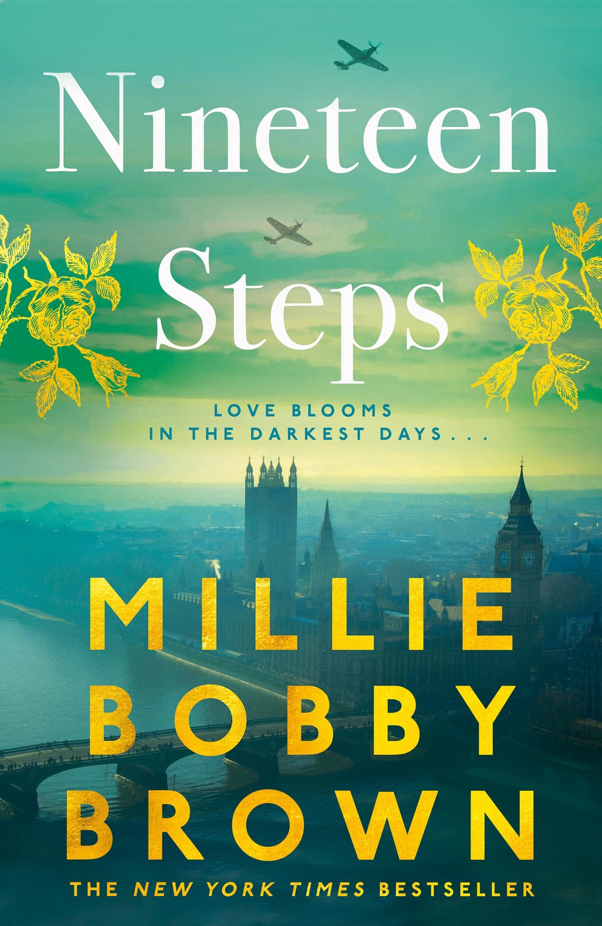 Nineteen Steps 9780008530273