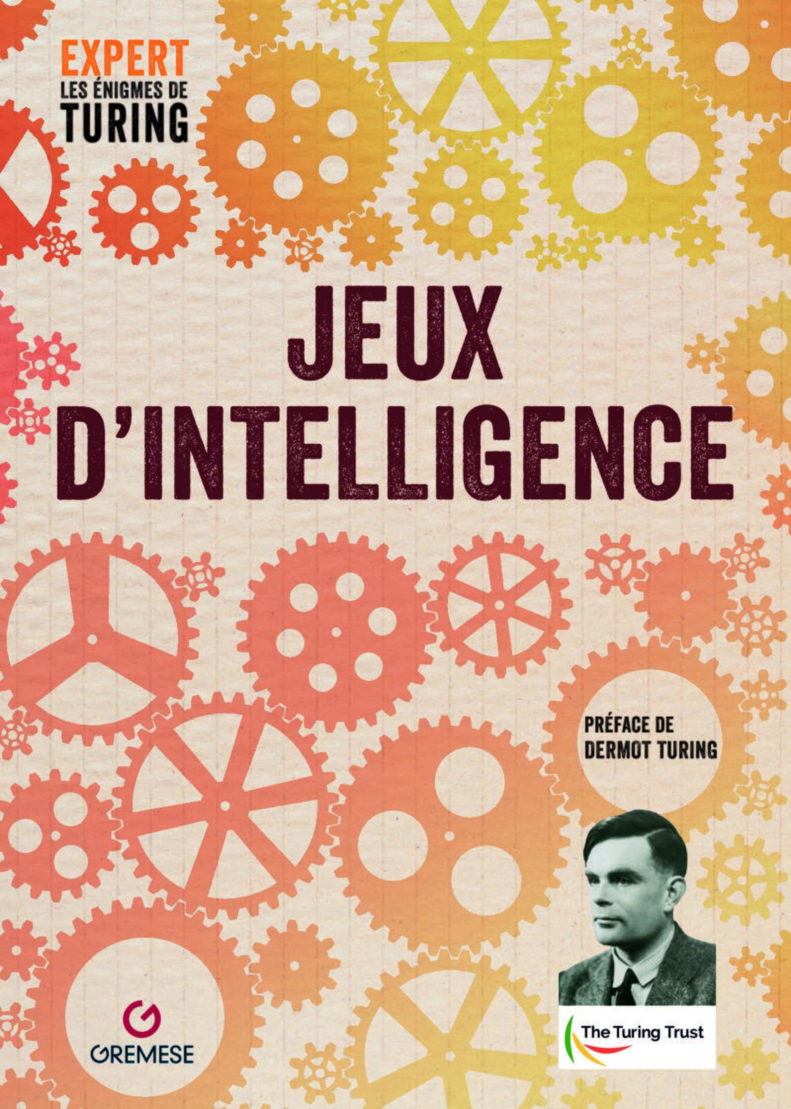Jeux d'intelligence: Préface de Dermot Turing 9782366772661