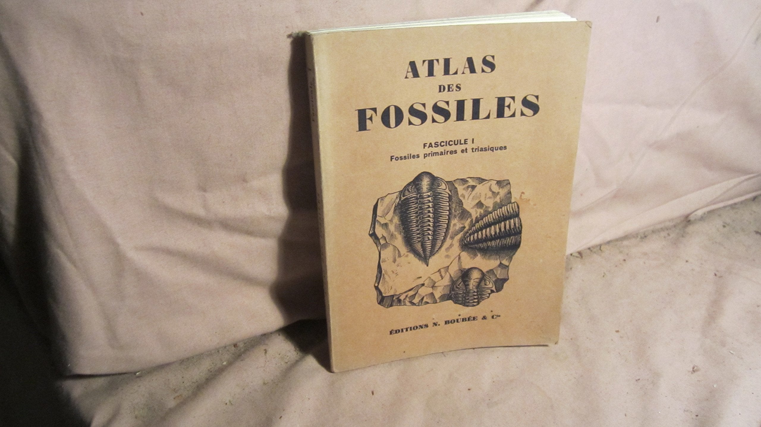 ATLAS DES FOSSILES, TOME I, FOSSILES PRIMAIRES ET TRIASIQUES 