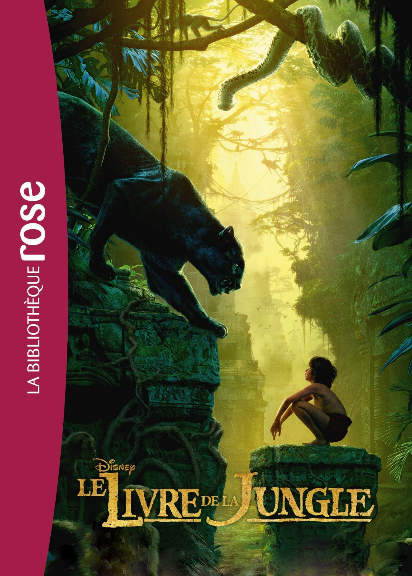Le Livre de la jungle - le roman du film 9782013222617