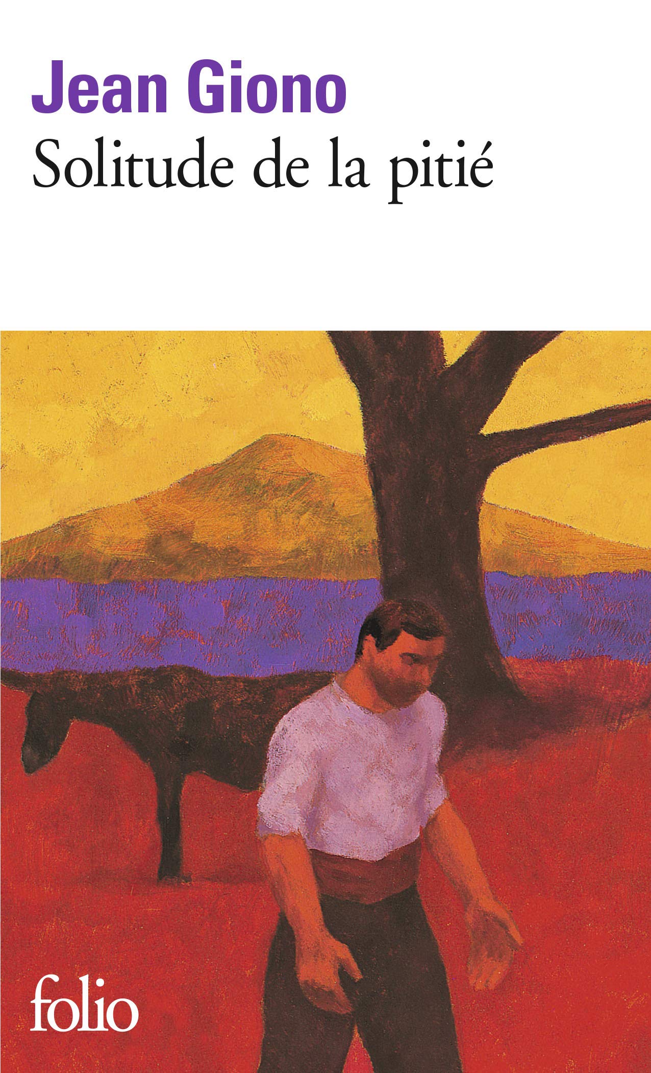 Solitude de la pitié 9782742708444