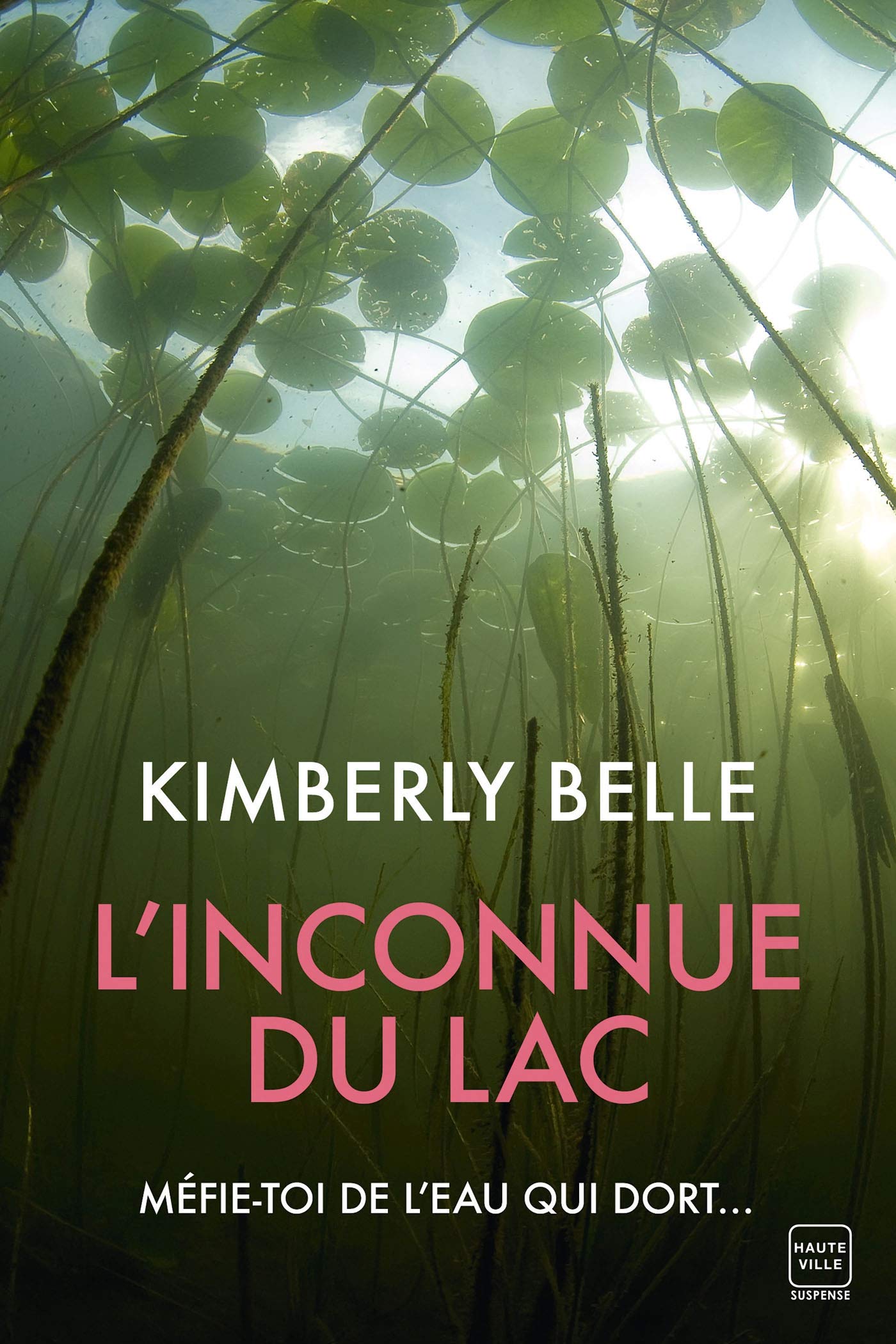 L'Inconnue du lac 9782381221755