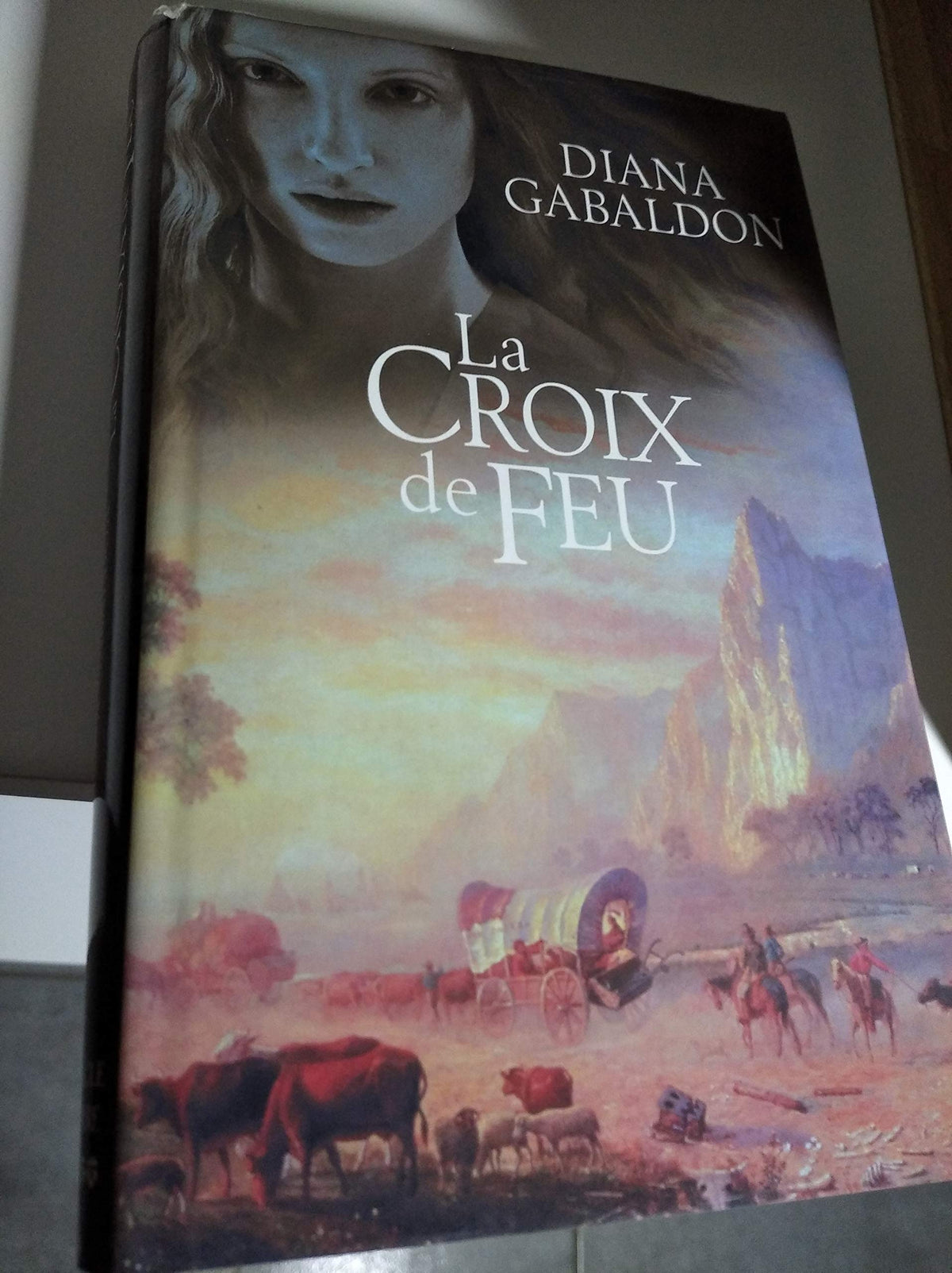 La croix de feu 9782286016197