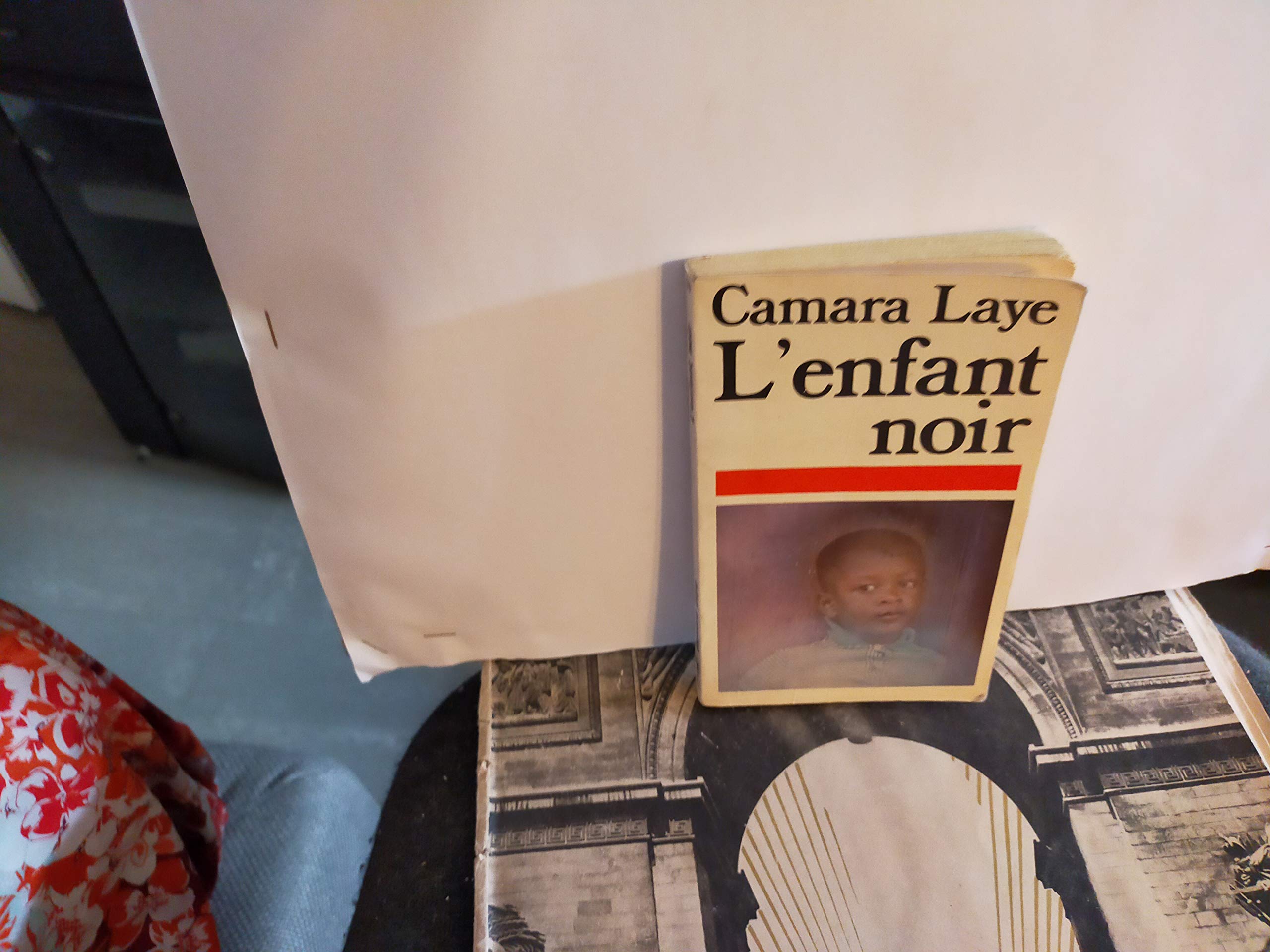 L'enfant noir 9782266000093