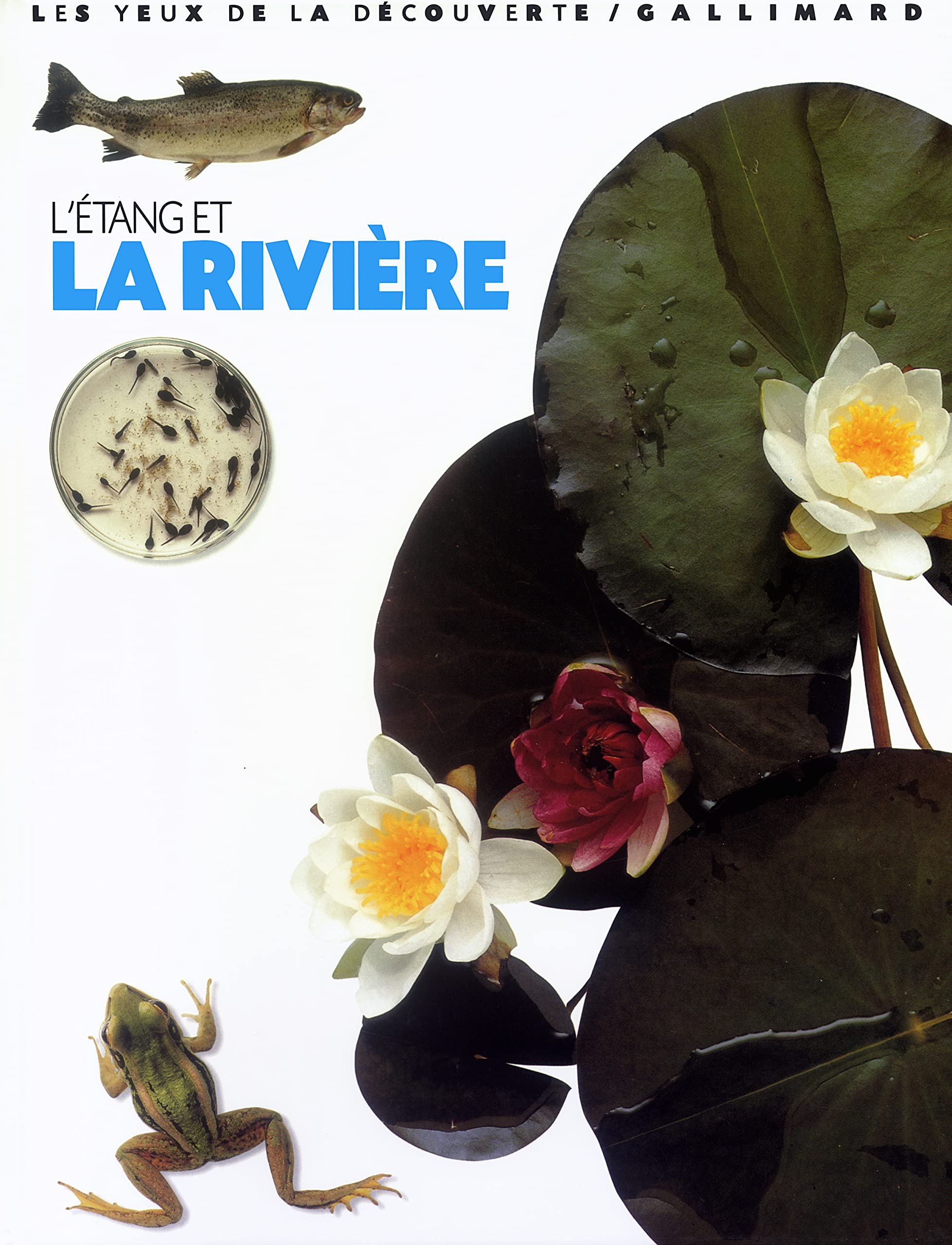 L'Etang et la Rivière 9782070538195