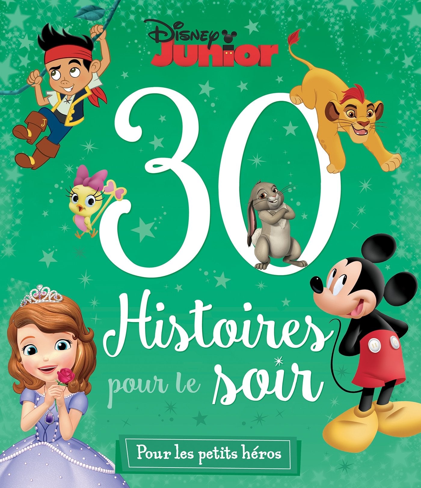 DISNEY JUNIOR - 30 Histoires pour le soir - Pour les Petits Héros 9782014010459