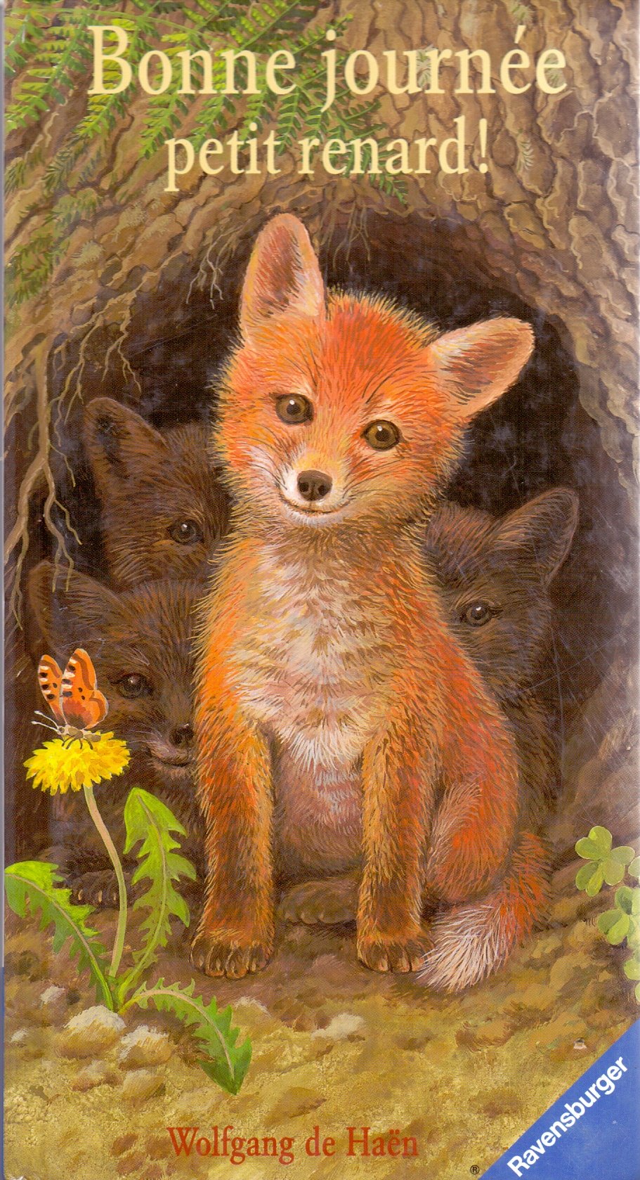 BONNE JOURNEE, PETIT RENARD ! 9783473822140