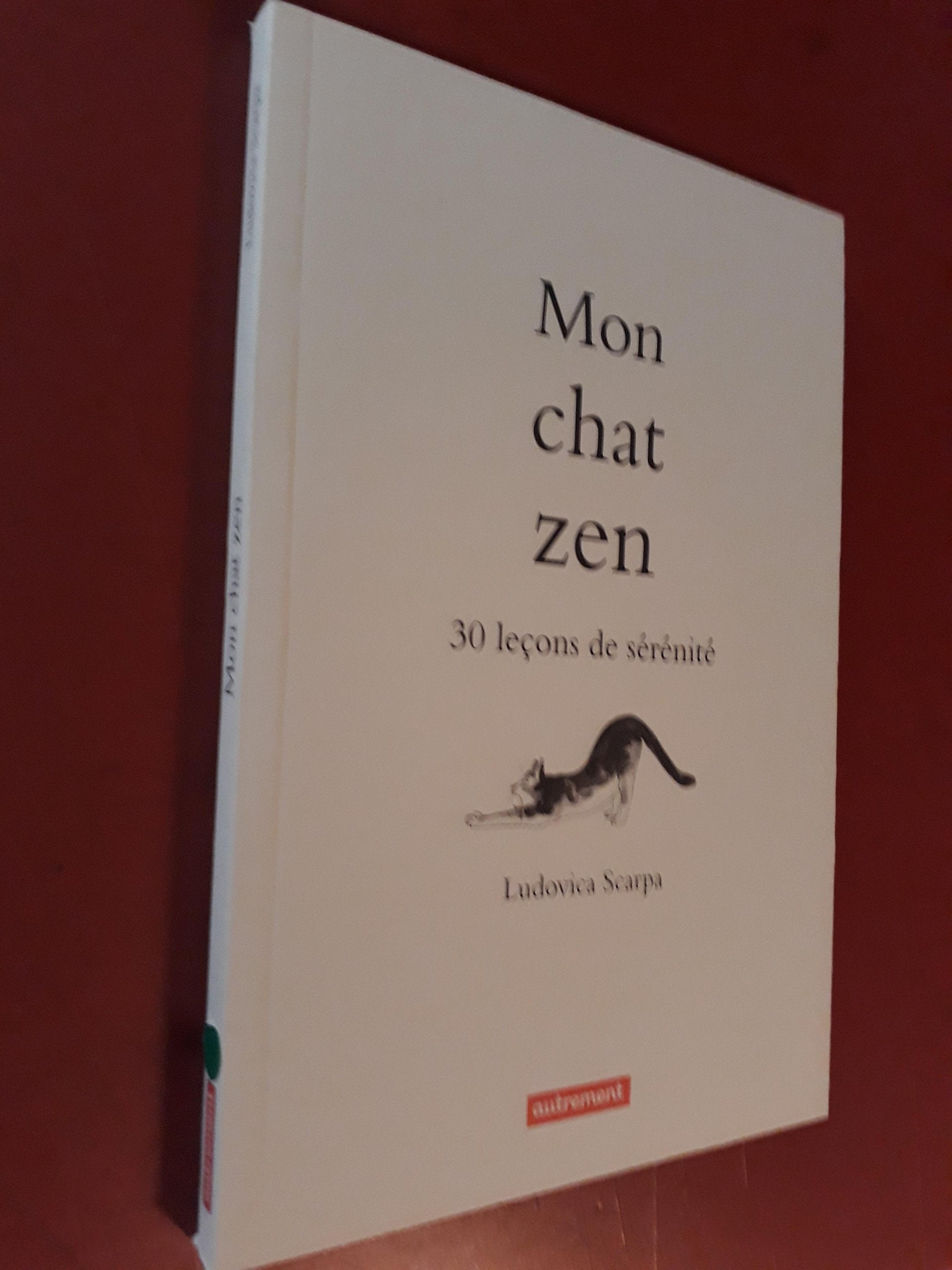 Mon chat zen: 30 leçons de sérénité 9782746736108