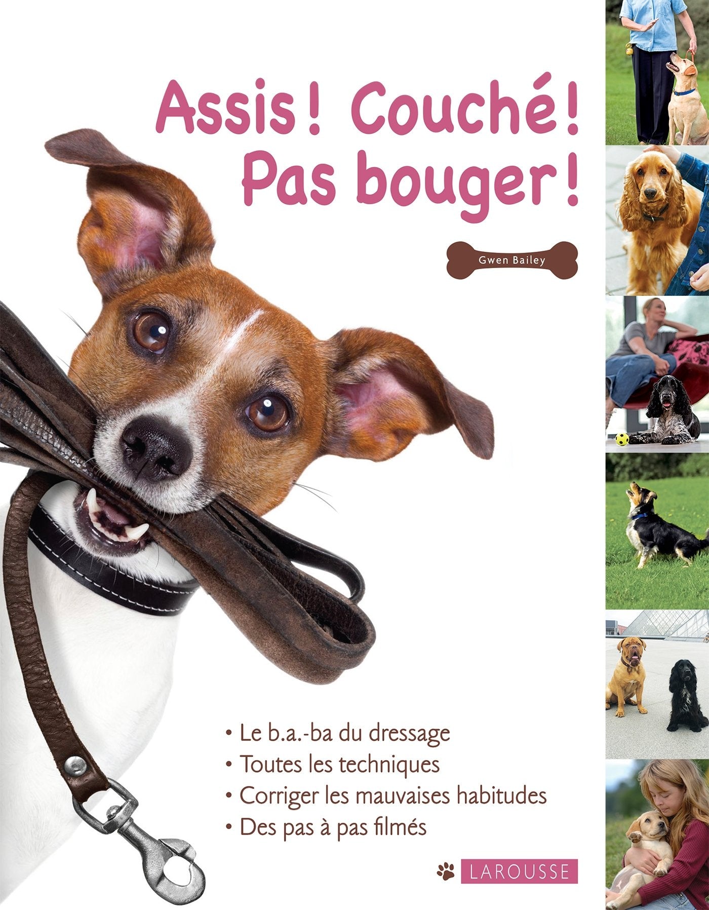 Assis, couché, pas bouger 9782035930811