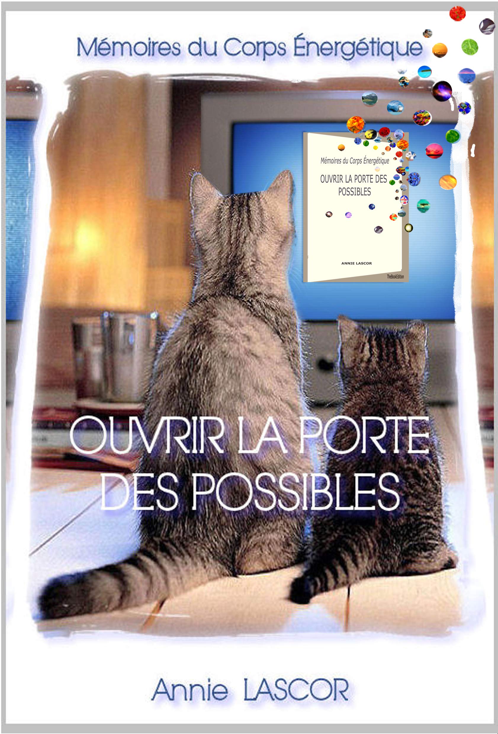 Ouvrir la Porte des Possibles Le livre 9782953648904