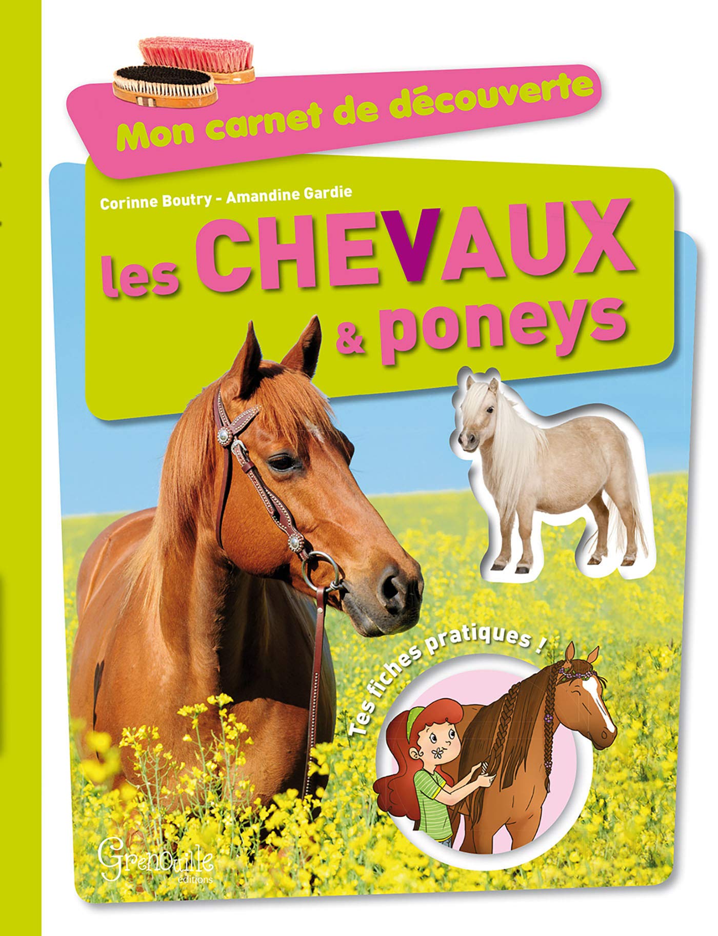 Les chevaux et poneys 9782366532067
