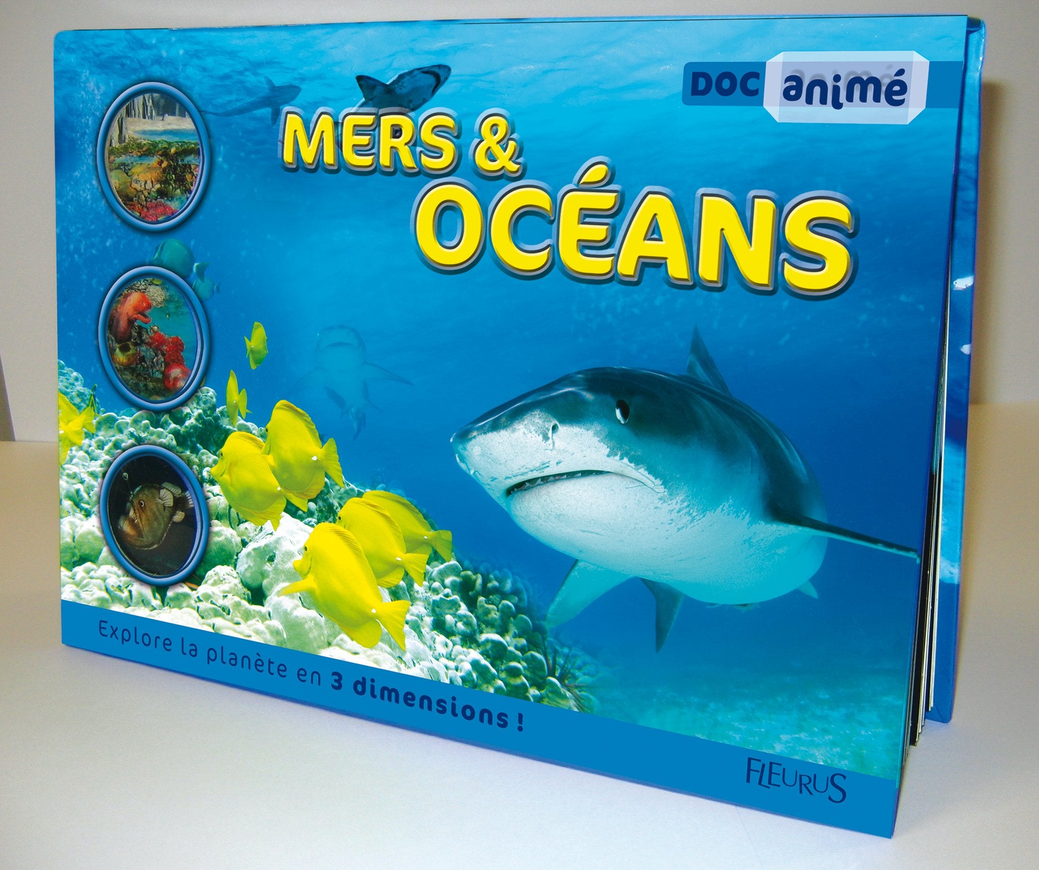 Mers et océans 9782215055693