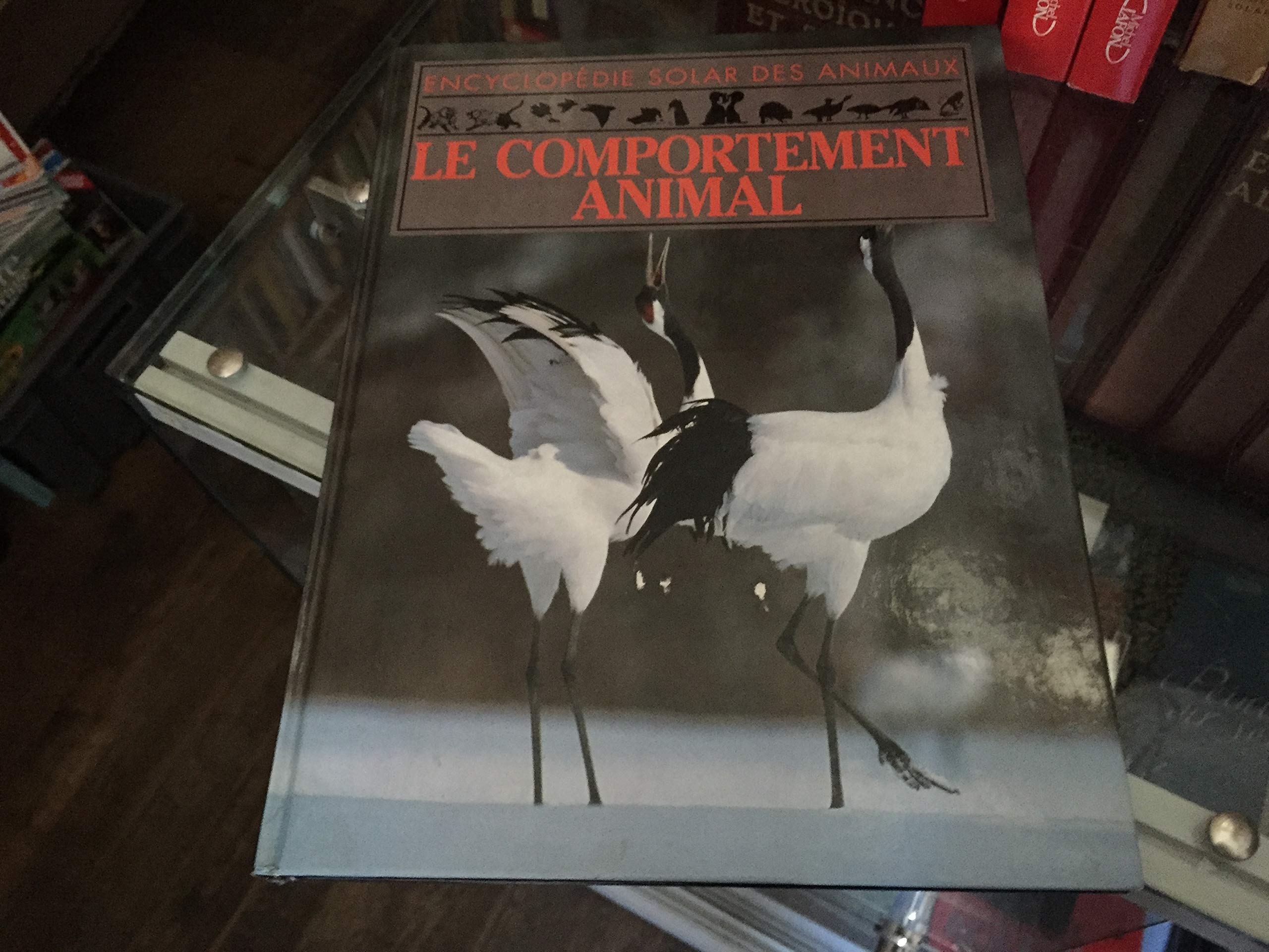 Le comportement animal 9782263015588