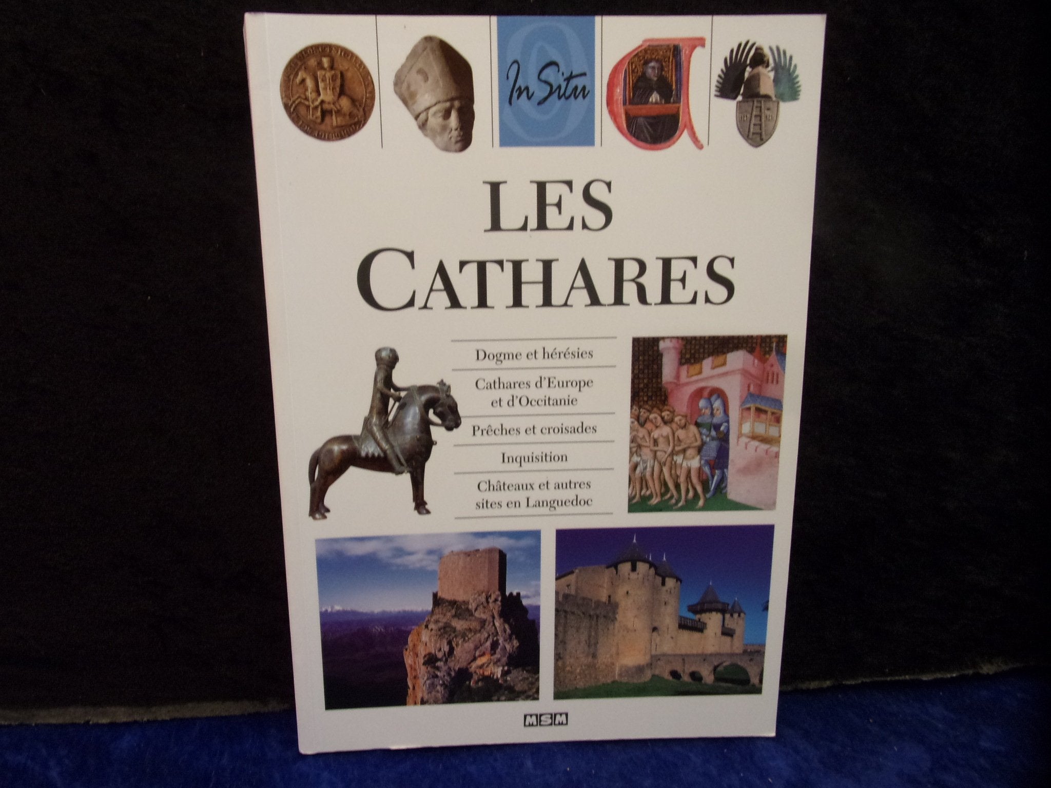 Les Cathares 9782350800448