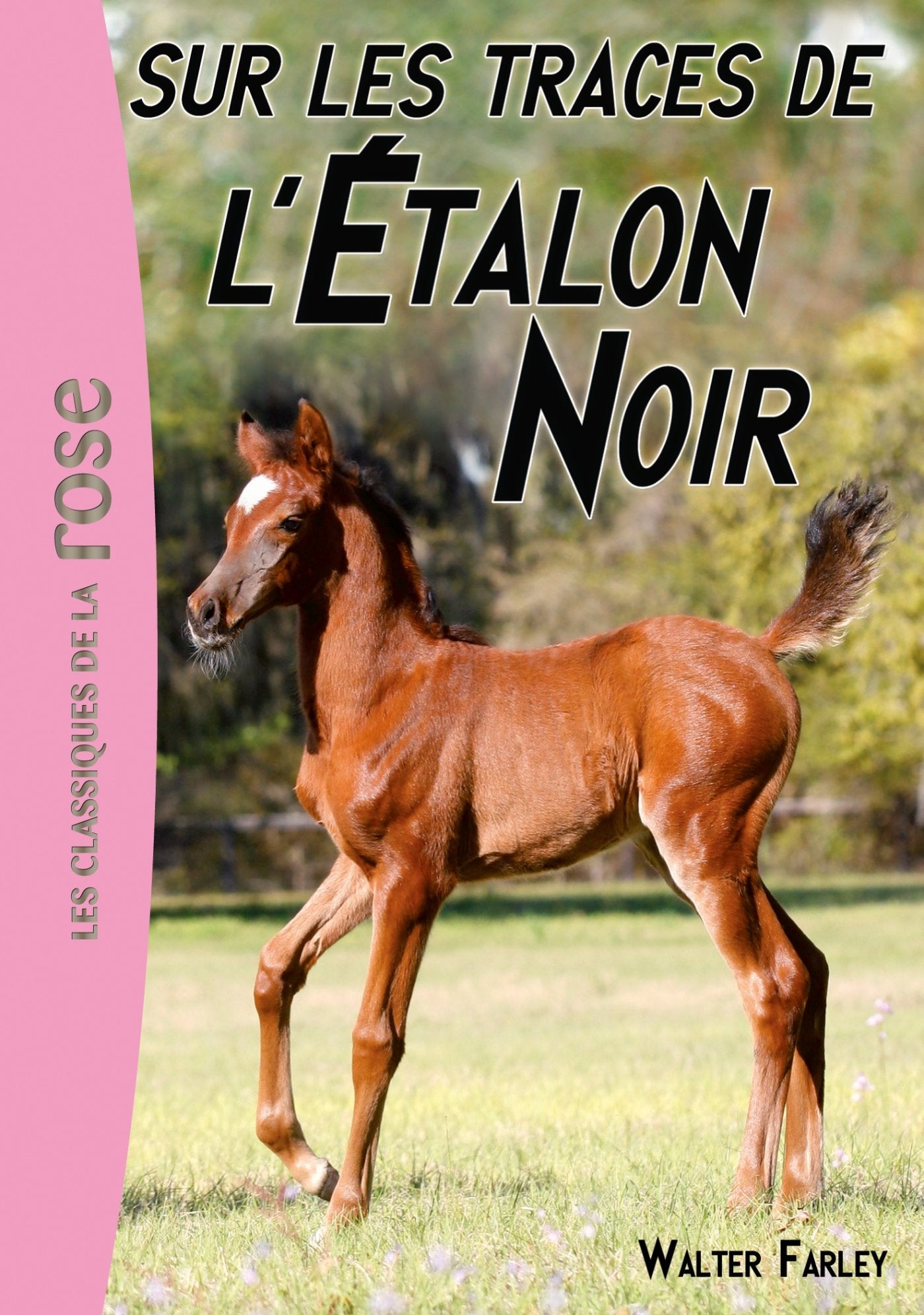 L'Étalon Noir 07 - Sur les traces de l'Étalon Noir 9782012027718