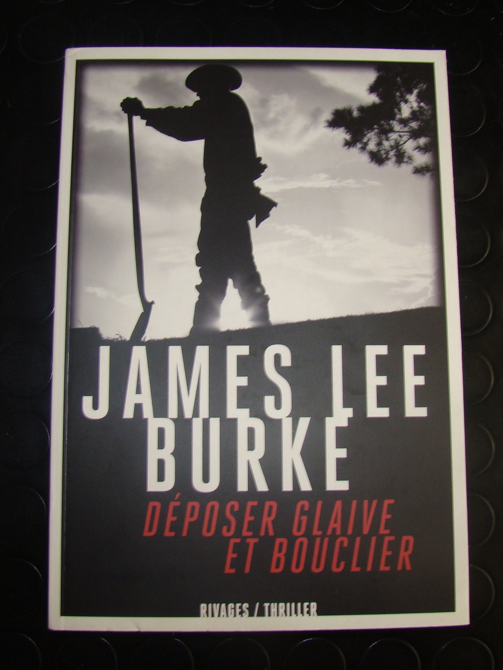 Déposer glaive et bouclier 9782743626440