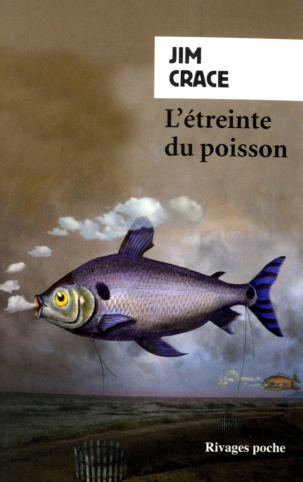 L'étreinte du poisson 9782743628871