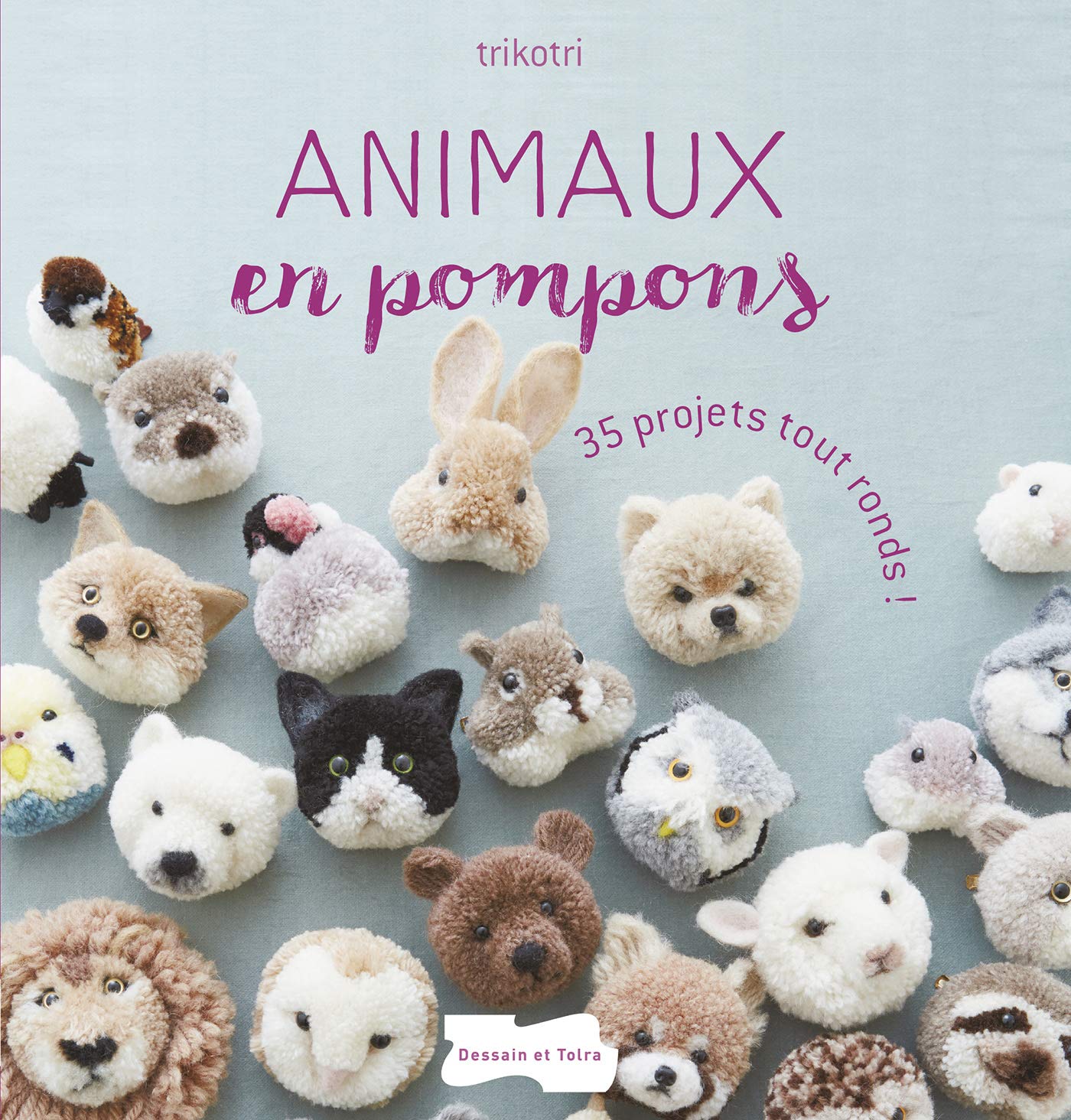 Animaux en pompons: 35 projets tout ronds 9782295006721