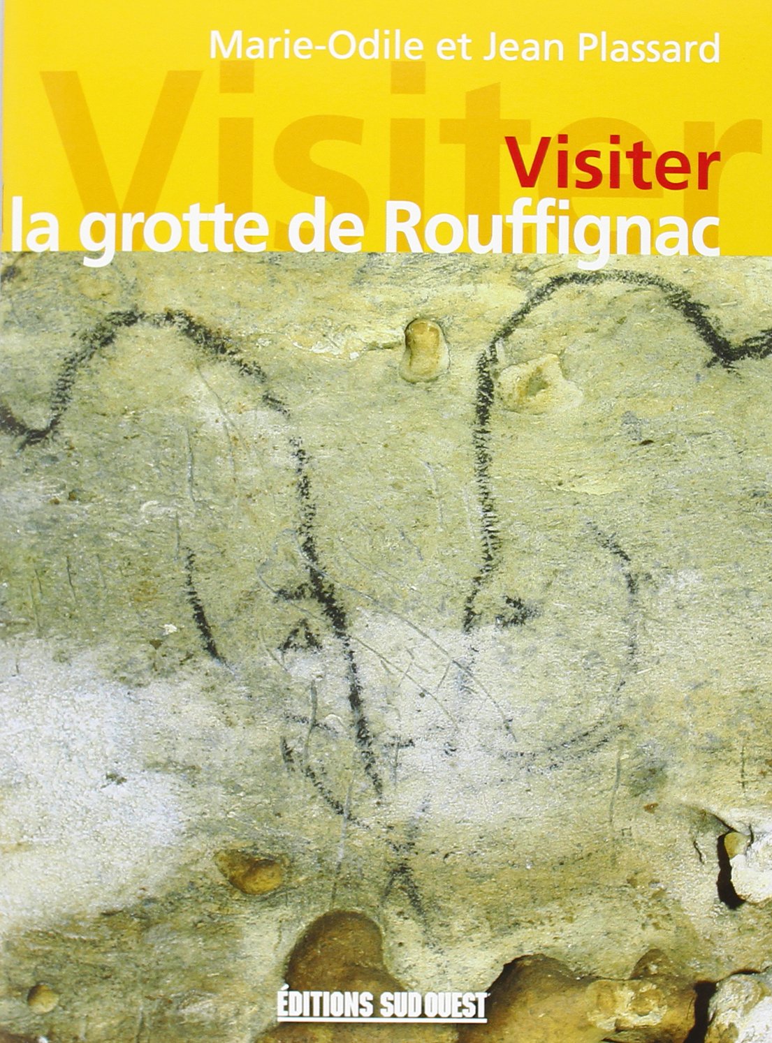Visiter La Grotte De Rouffignac En Français 9782879011844
