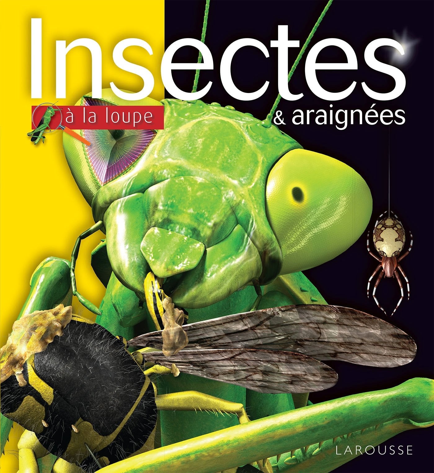 Insectes et araignées 9782035927606