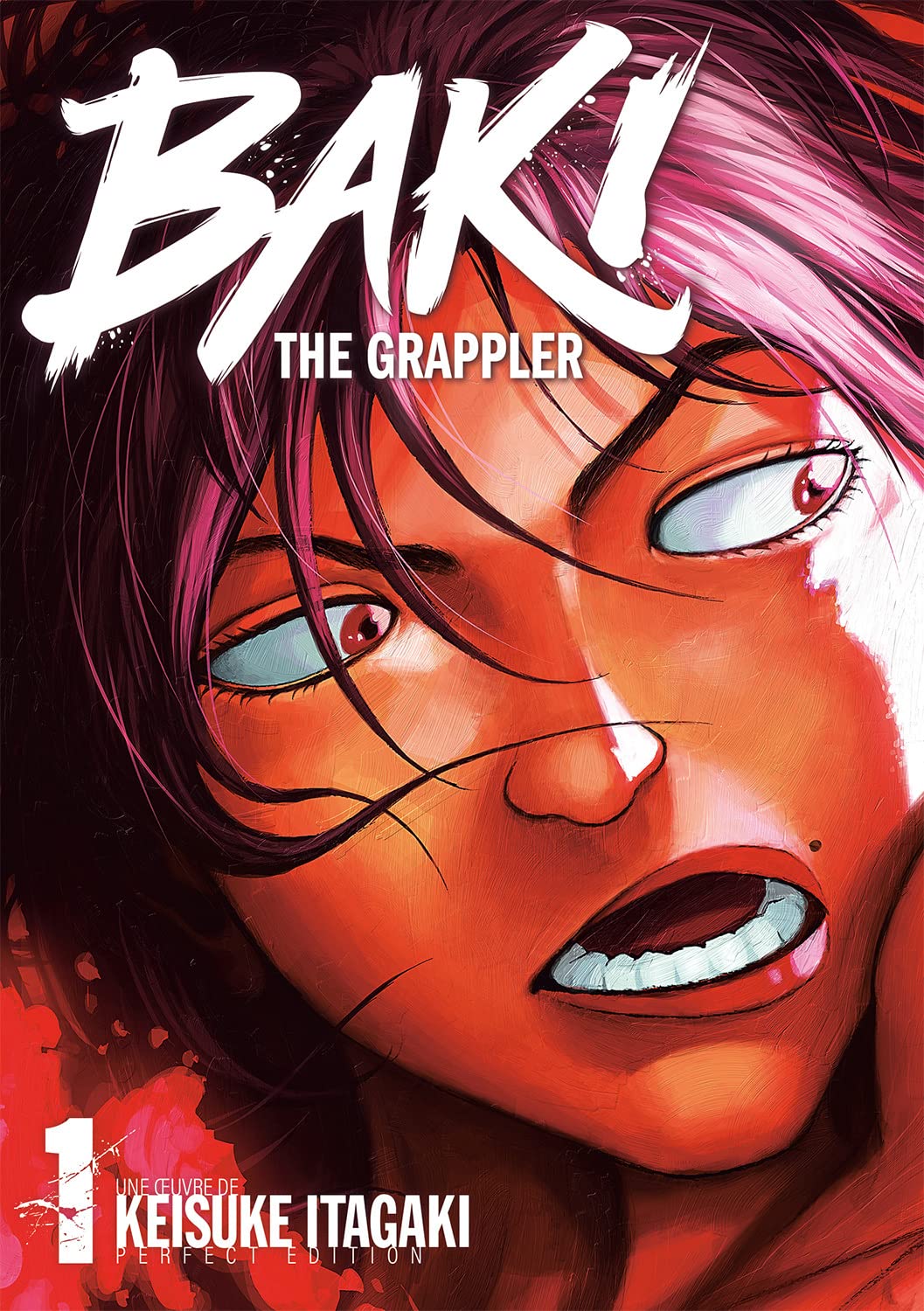 Baki the Grappler - Perfect Edition - Tome 1 9782382754665