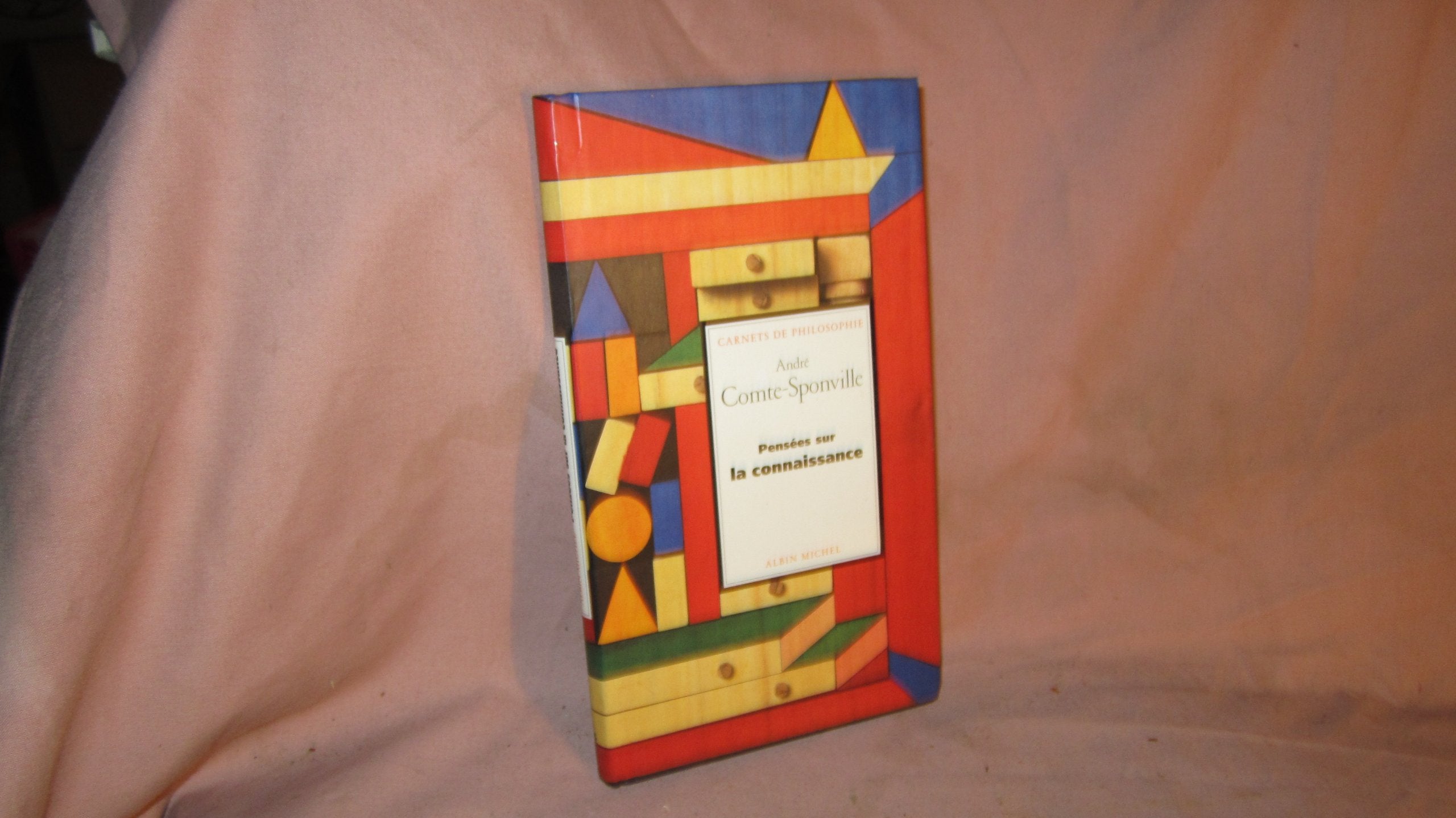 Pensées sur la connaissance 9782226090423