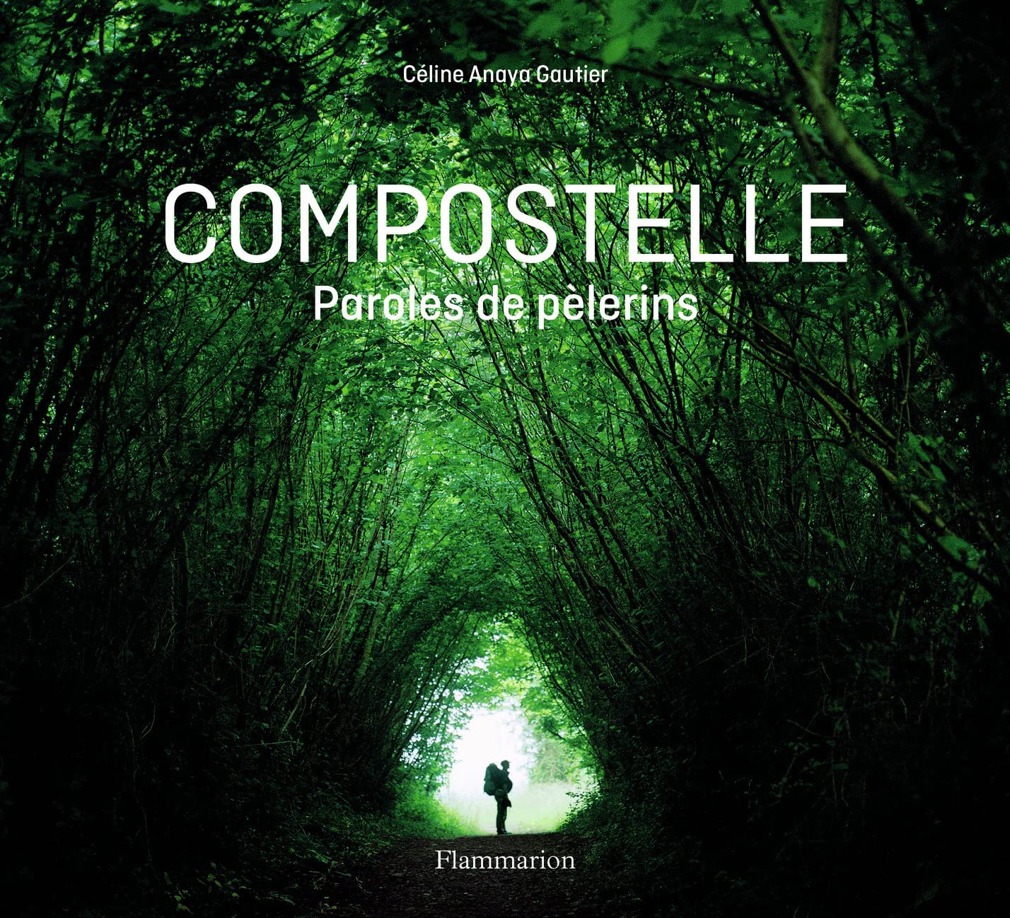 Compostelle: Paroles de pèlerins 9782081408500