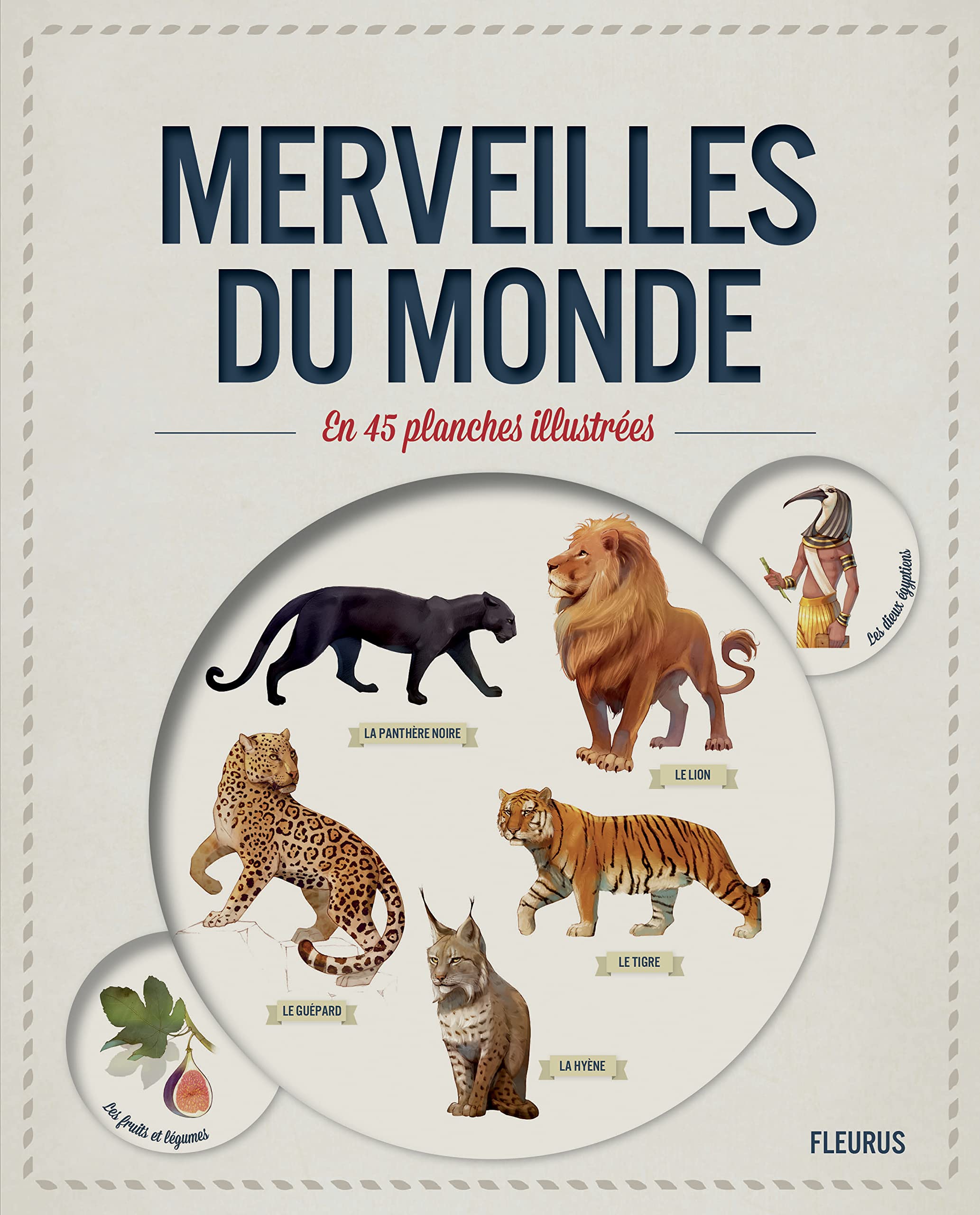 MERVEILLES DU MONDE EN 45 PLANCHES ILLUSTREES 9782215125402